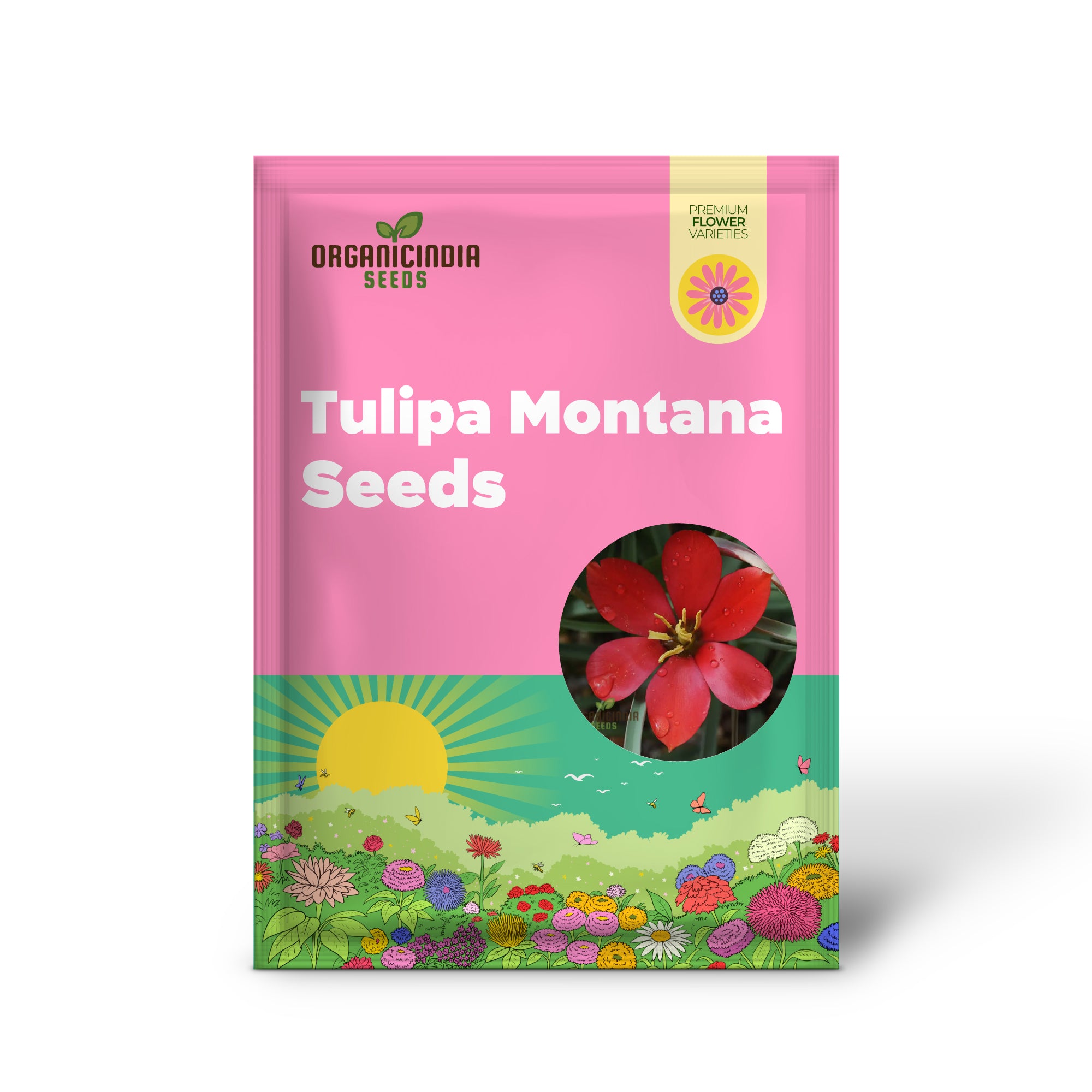 TULIPA MONTANA Seeds for Planting - Perfect for Gardening Enthusiasts - Buy Organic Tulip Seeds Online