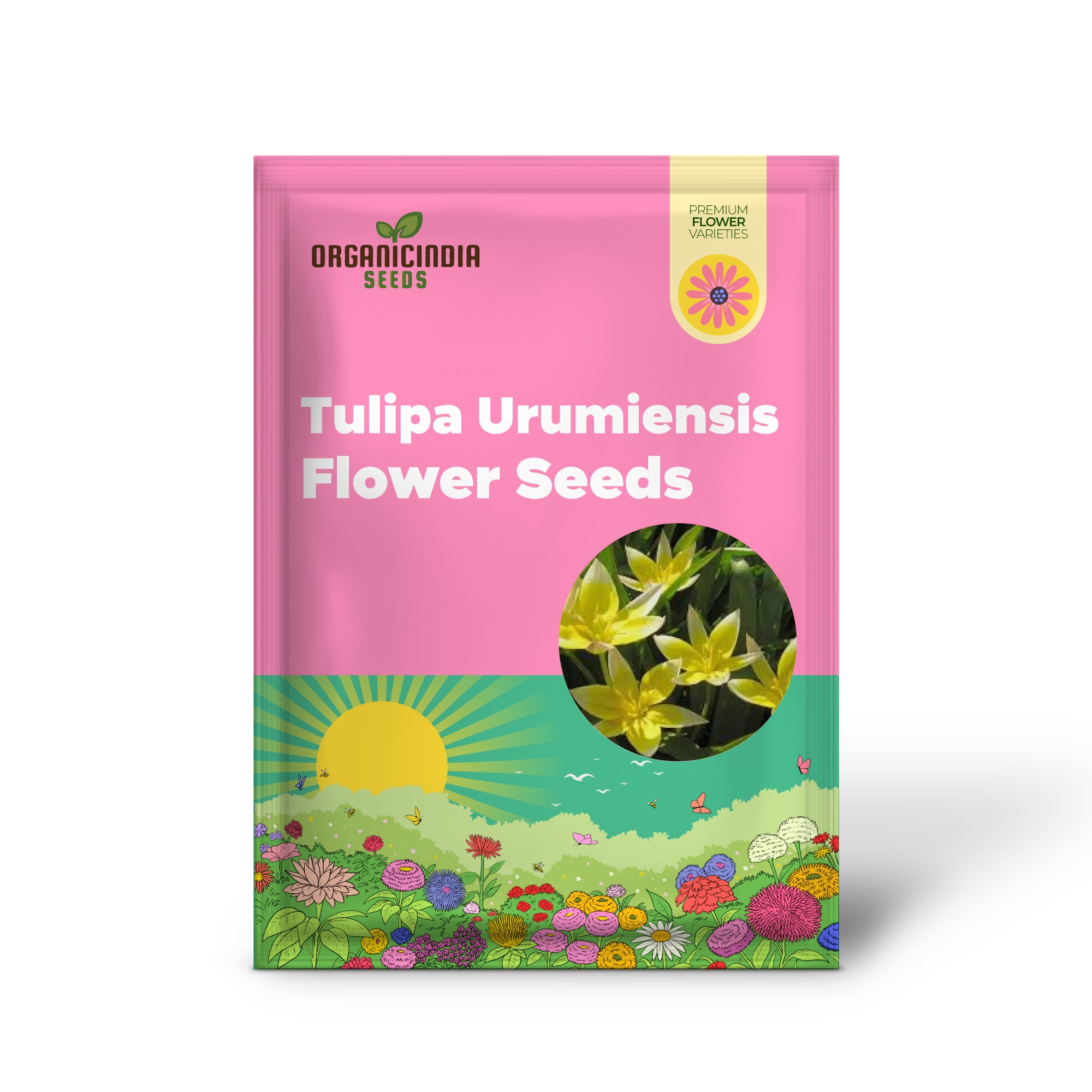 Tulipa Urumiensis Blumensamen - Ideal für Pflanzen- und Gartenliebhaber