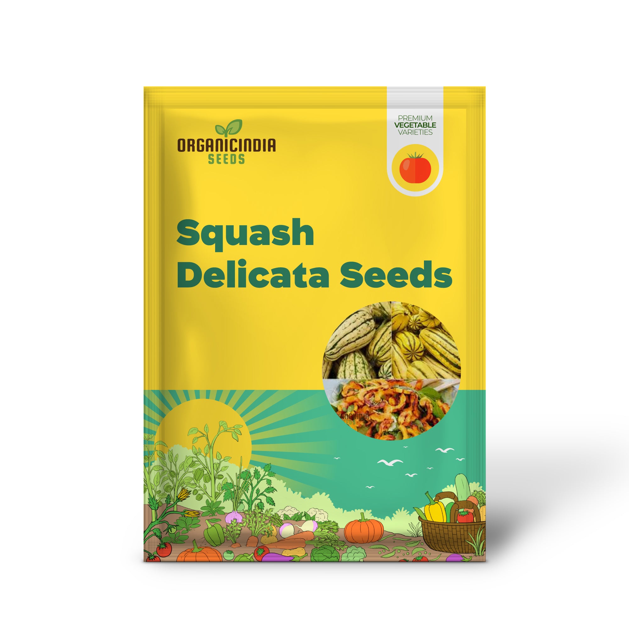 Squash - Delicata Seeds for Planting and Gardening | Premium Quality Seeds