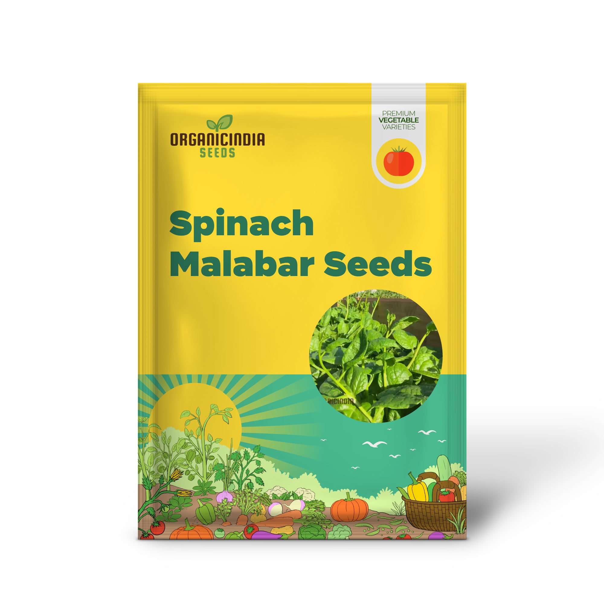 Spinach - Malabar (Ceylon) Green Seeds for Planting & Gardening | Premium Quality Seeds