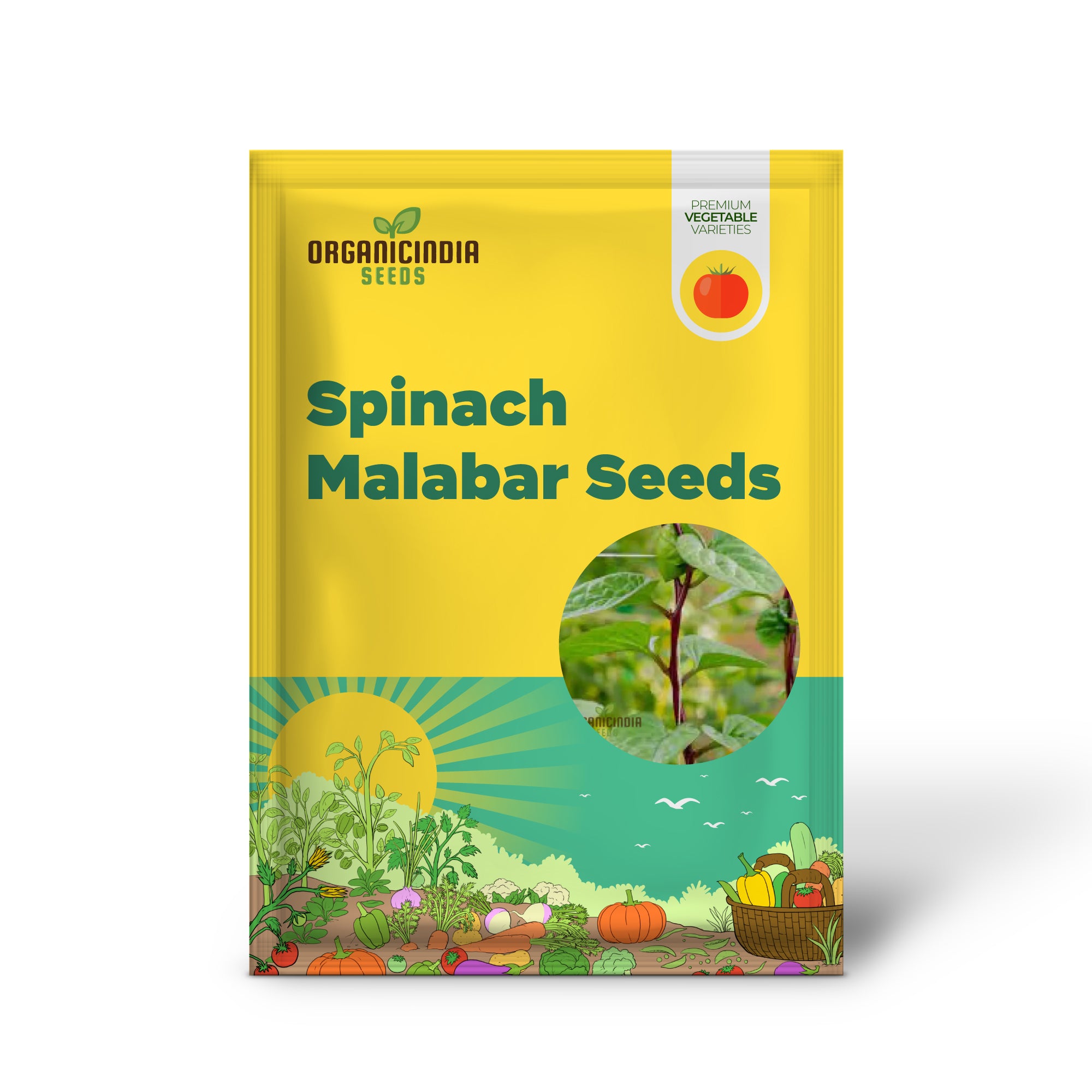 Spinach - Malabar (Ceylon) Red Seeds for Planting and Gardening