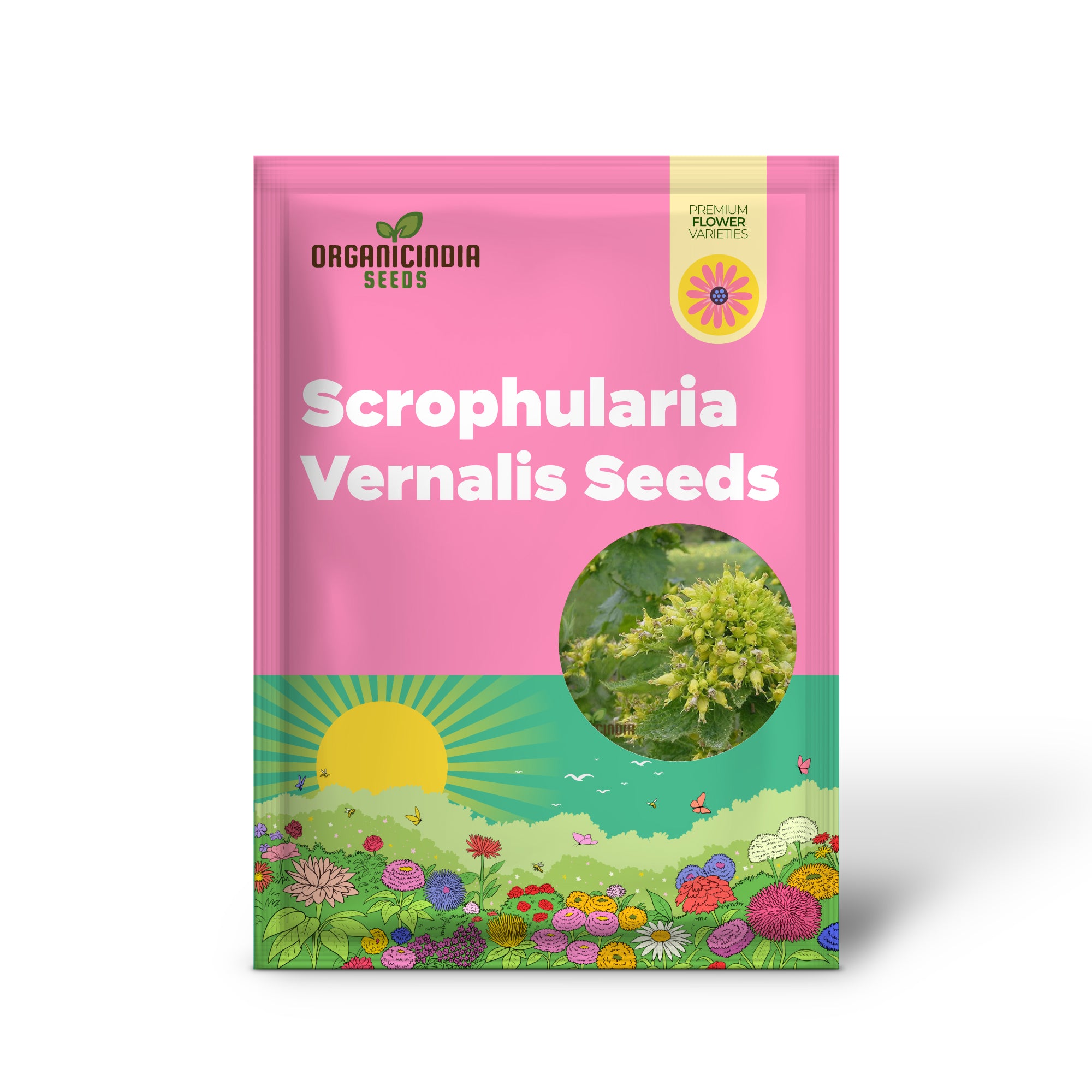 Scrophularia Vernalis Seeds - Premium Gardening Delight | Buy Organic Seeds Online