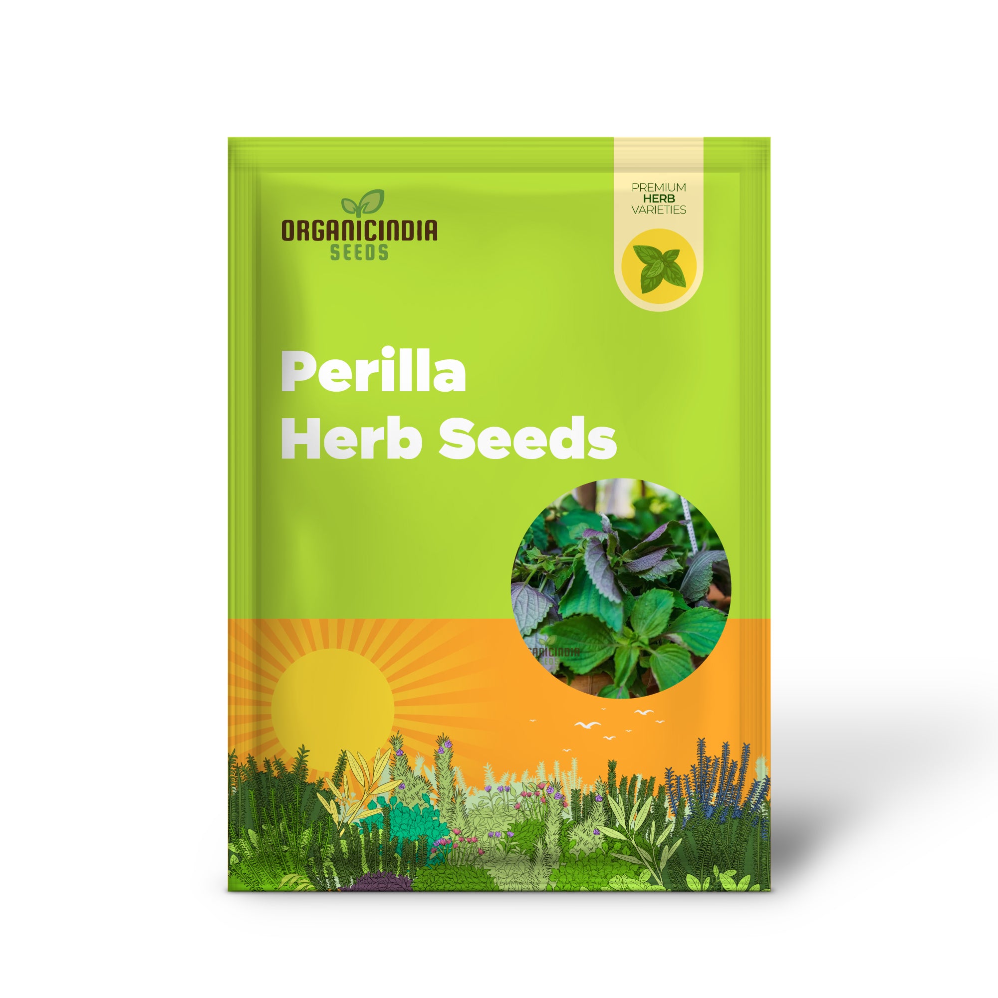 Shiso - Jeok Ssam Ip (Perilla) Herb Seeds For Planting Grow Fresh Shiso Leaves at Home