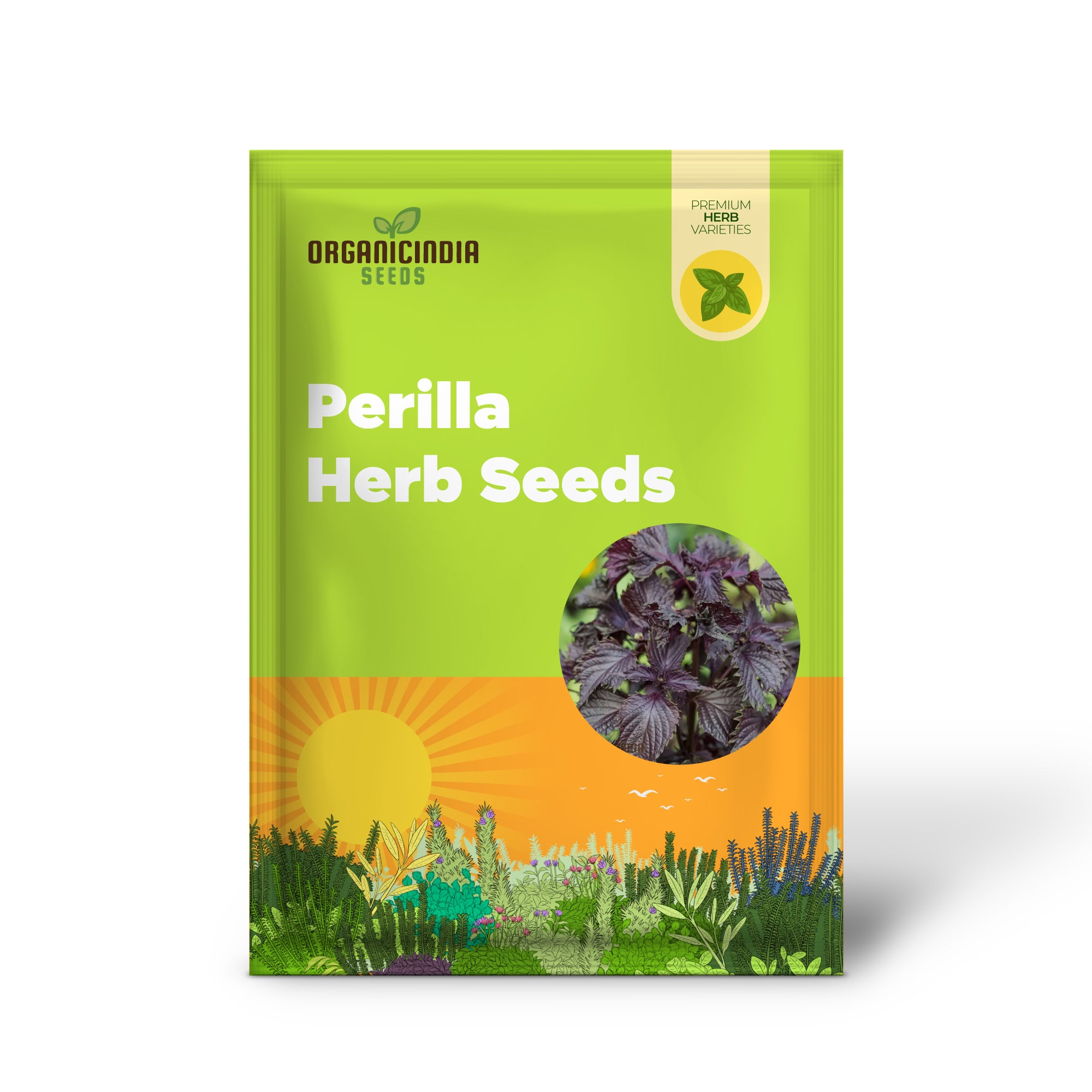 Shiso - Japanese Red (Perilla) Herb Seeds For Planting, Grow Vibrant Red Shiso Leaves at Home