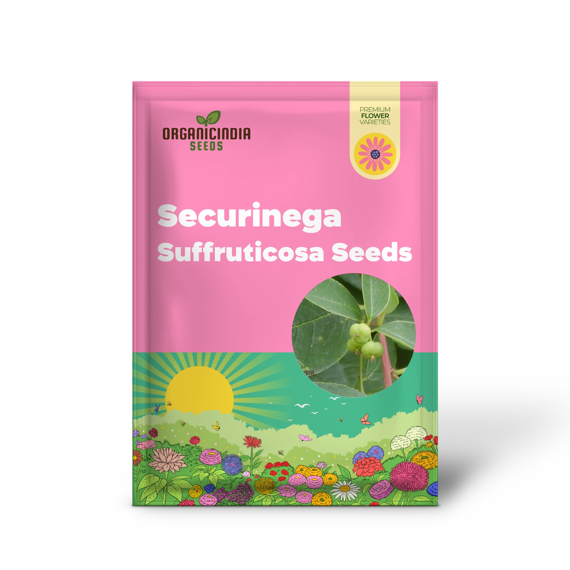 Securinega Suffruticosa Seeds for Gardening | Buy Organic Securinega Suffruticosa Seeds Online | Perfect for Home Gardens and Landscaping