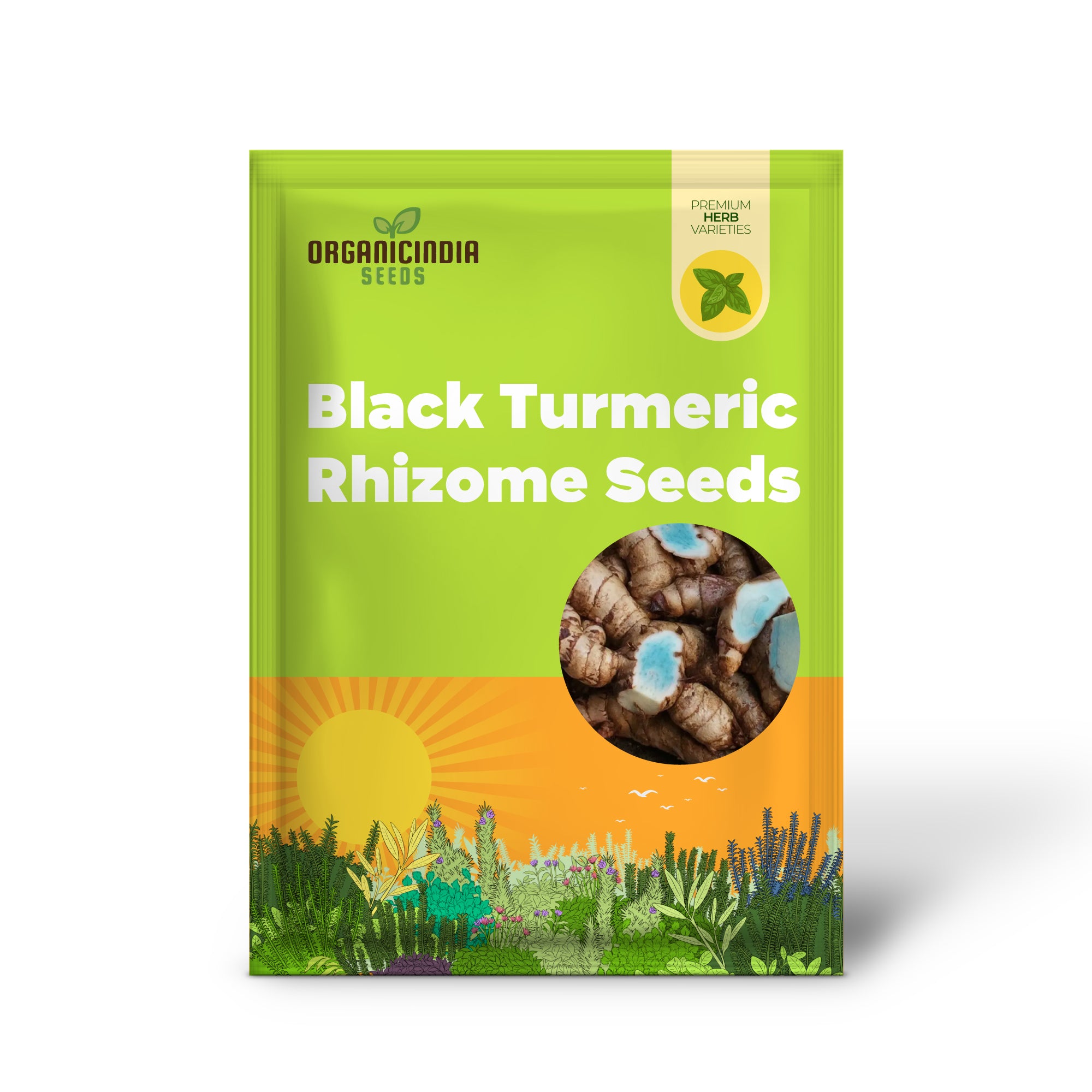 Black Turmeric Rhizome - Rare Exotic Seeds for Home Gardening Enthusiasts