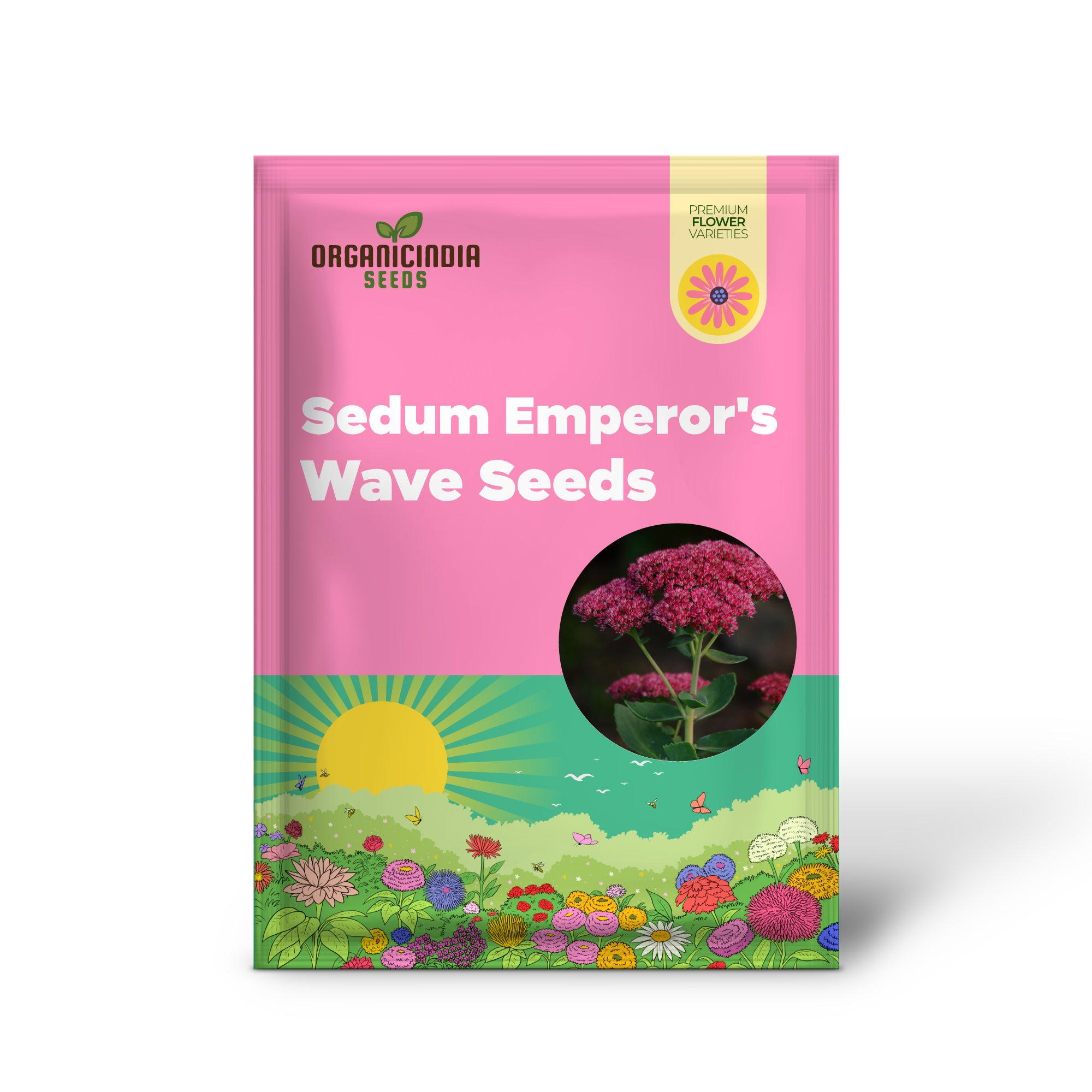 Sedum Emperor's Wave (Telephium Hyb) Seeds for Gardening Enthusiasts | Hardy Perennial Plant for Succulent Gardens and Landscapes