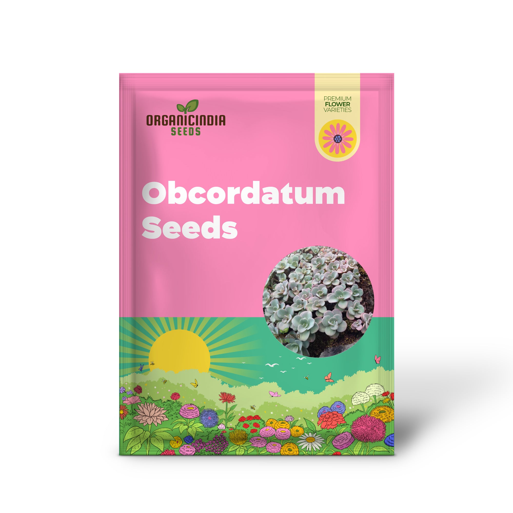 Sedum Obcordatum Seeds for Planting | Hardy Succulent Plant Seeds