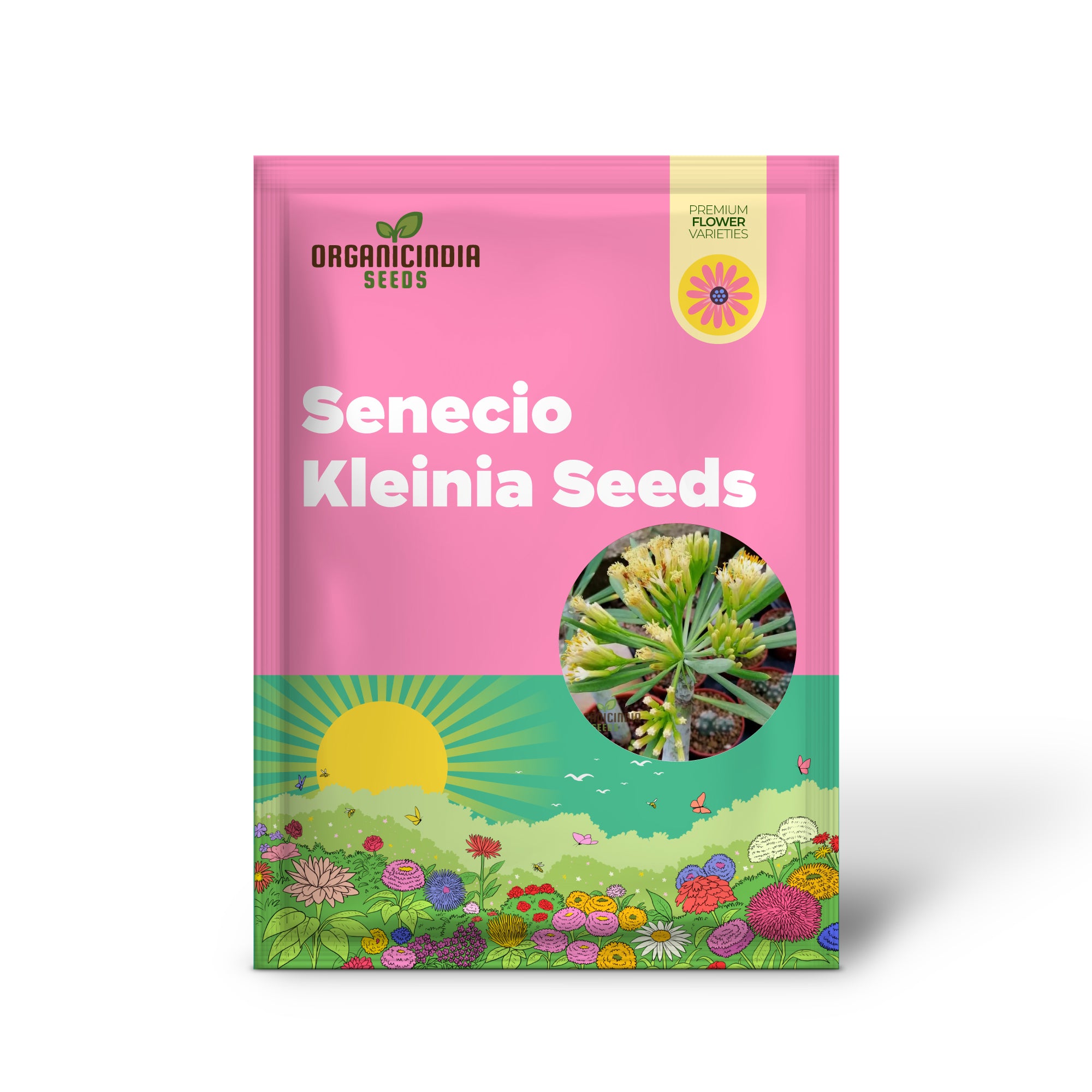 Senecio Kleinia Seeds - Rare Succulent Plant Seeds for Gardening Enthusiasts | Buy Organic Gardening Seeds Online