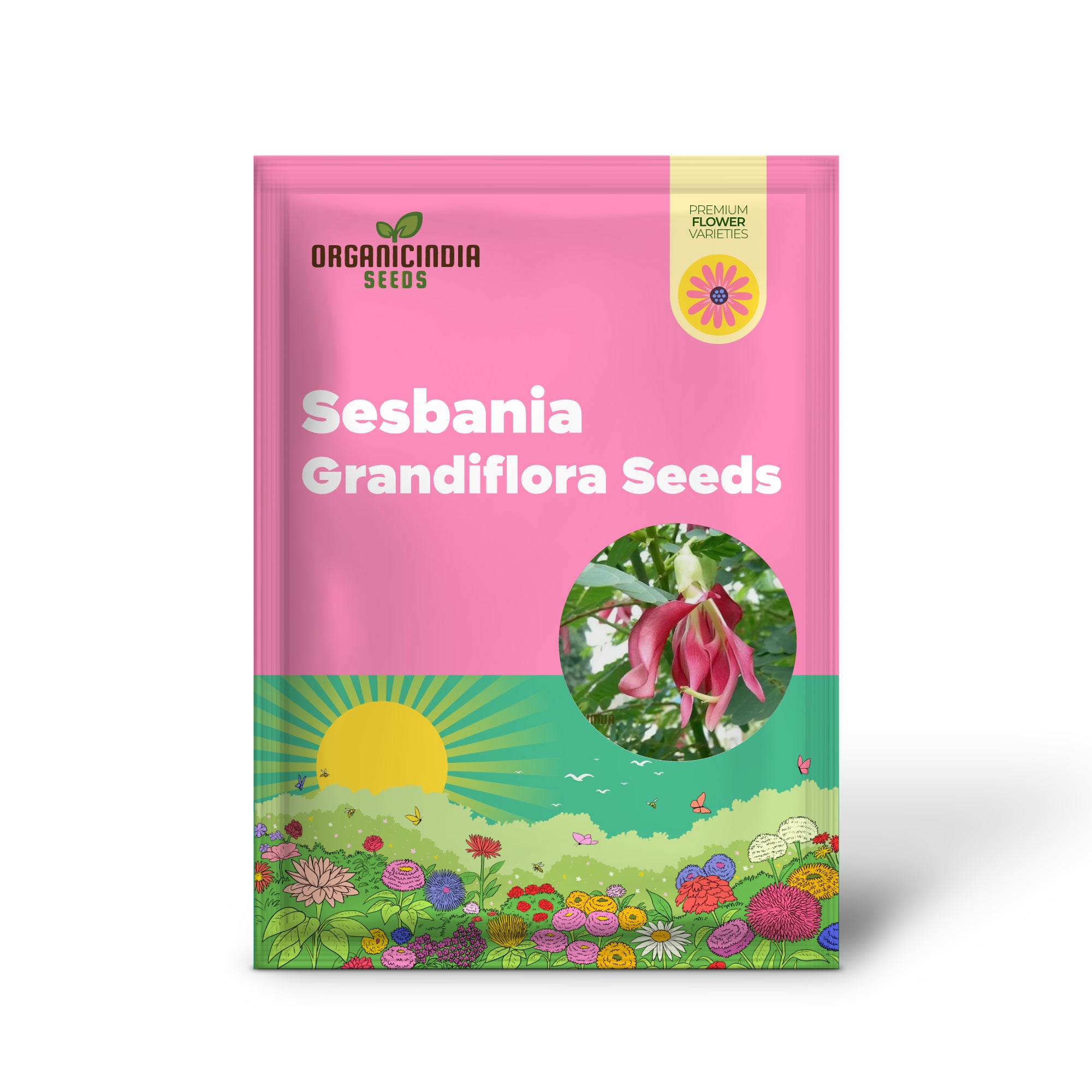 Graines de Sesbania Grandiflora Pink – Graines d'arbres à fleurs exotiques rares pour la plantation de jardin | Graines de jardinage de qualité supérieure