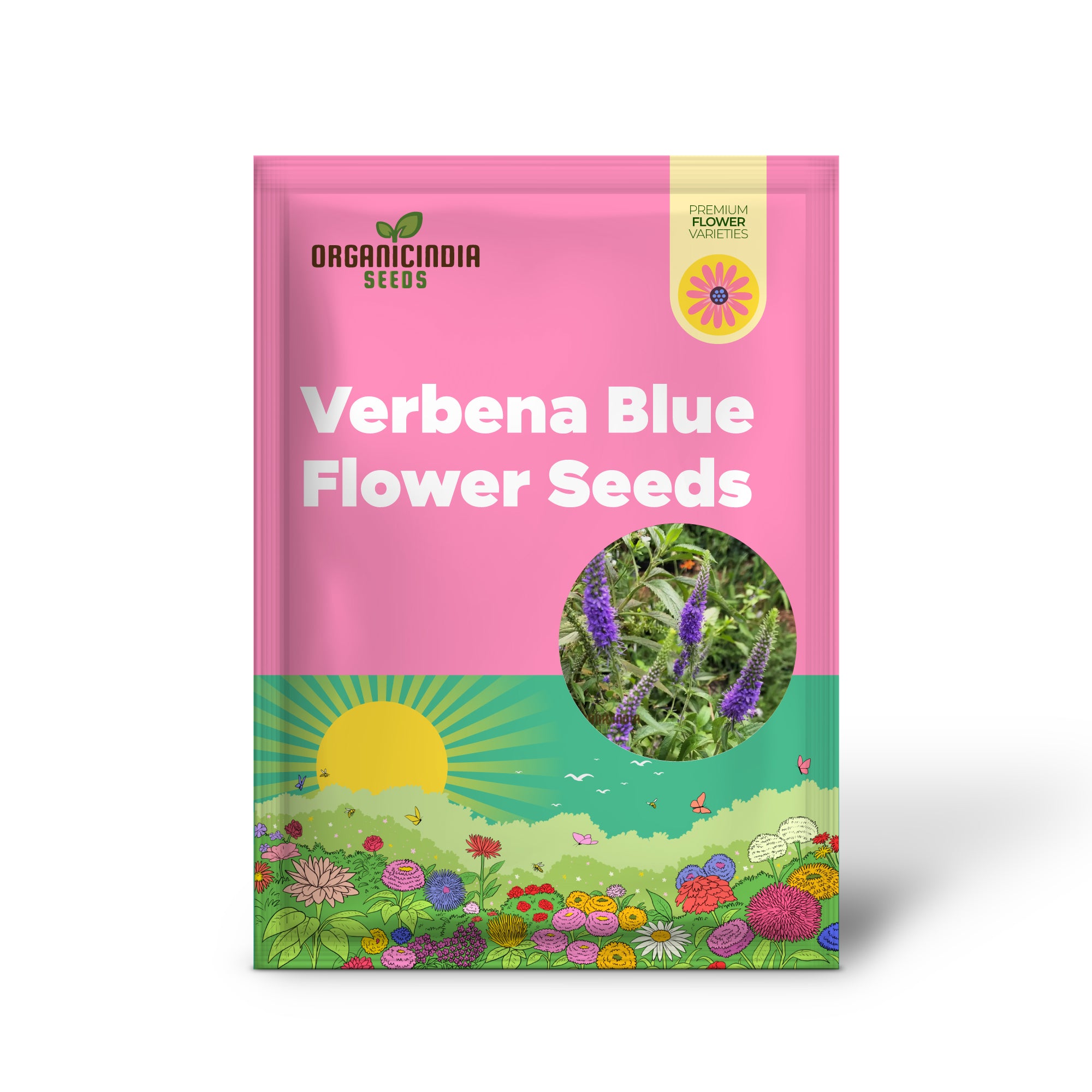 Verbena x Hybrida Blue Flower Seeds, Premium Easy-to-Grow Annual Blooms for Stunning Garden