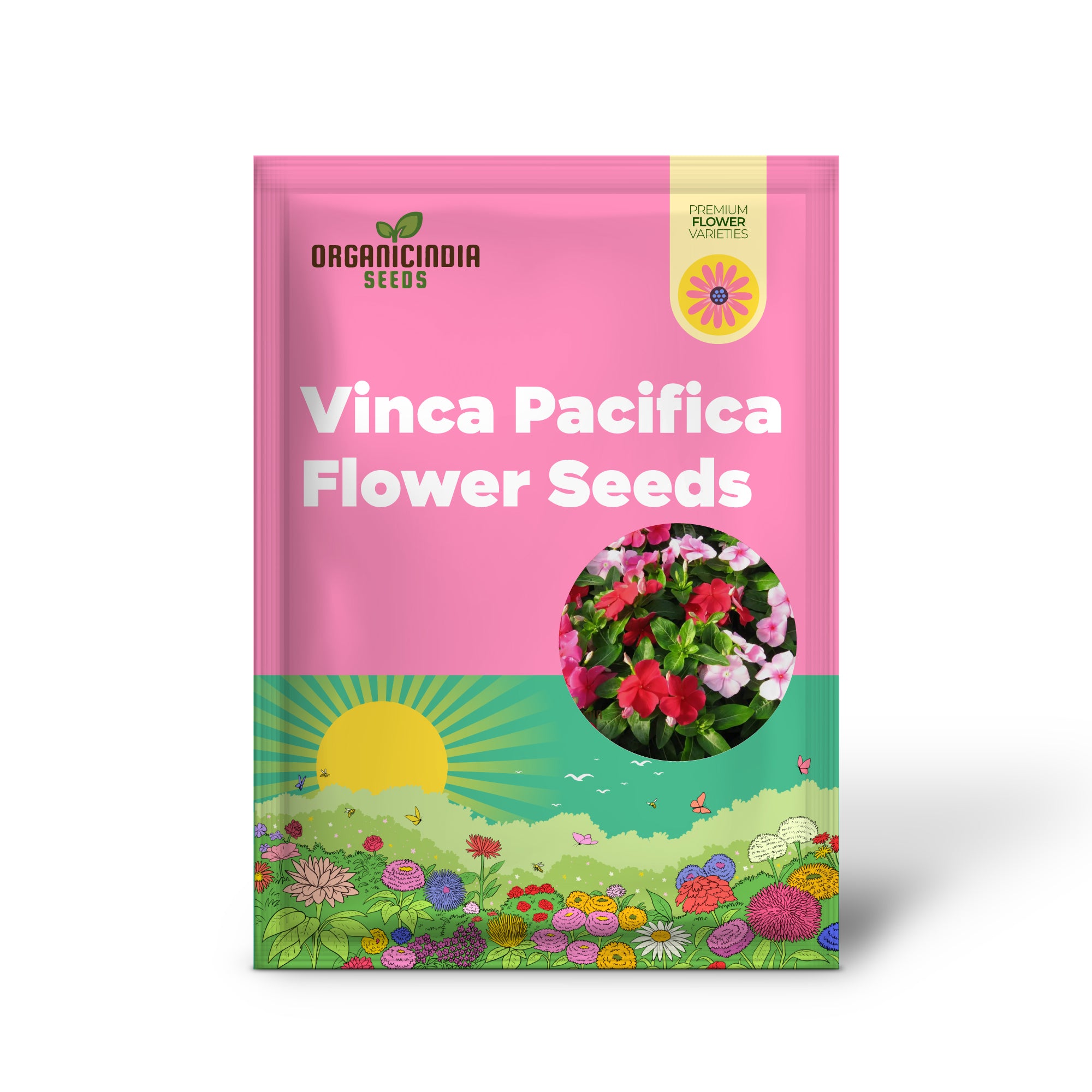 Mélange de graines de fleurs Vinca Pacifica XP, couvre-sol annuel vibrant avec de superbes fleurs bleues, roses et blanches, parfait pour les jardins ensoleillés