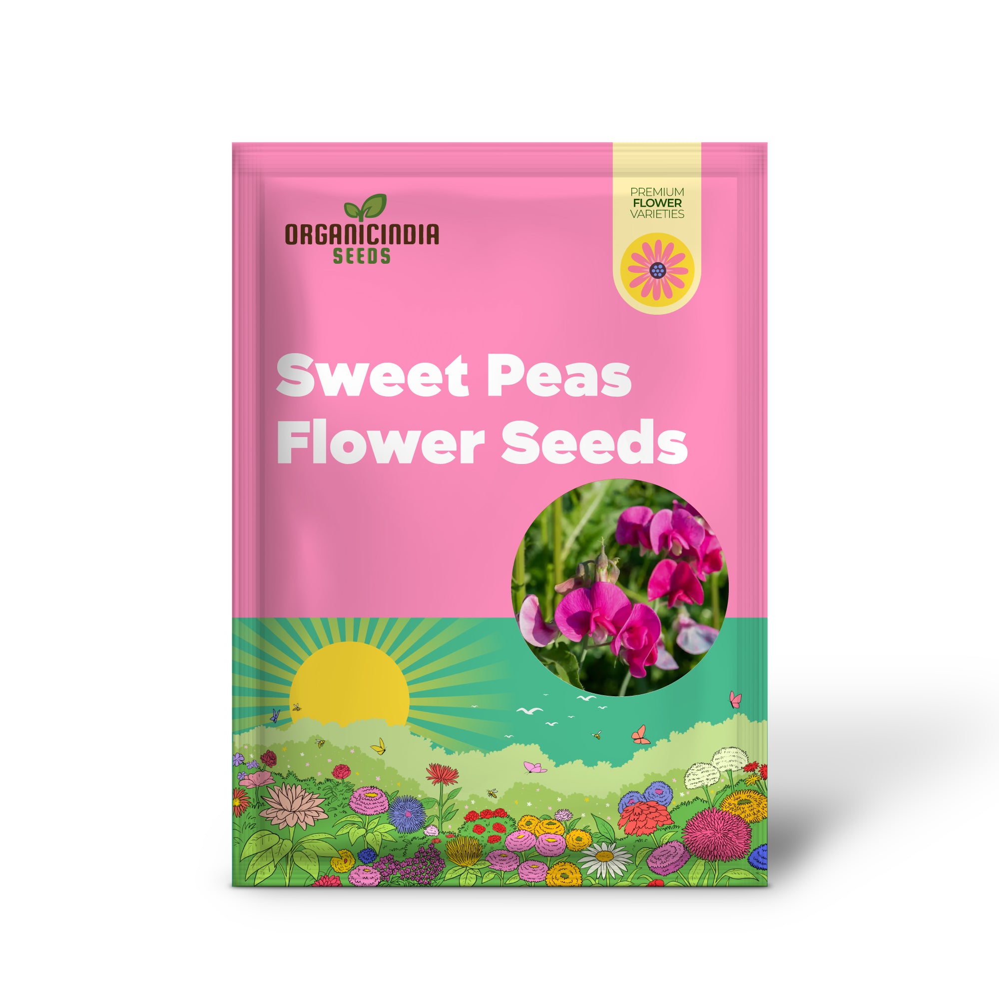 Sweet Peas (Lathyrus odoratus) Flower Seeds For Planting, Grow a Beautiful Garden of Fragrant, Colorful Blooms