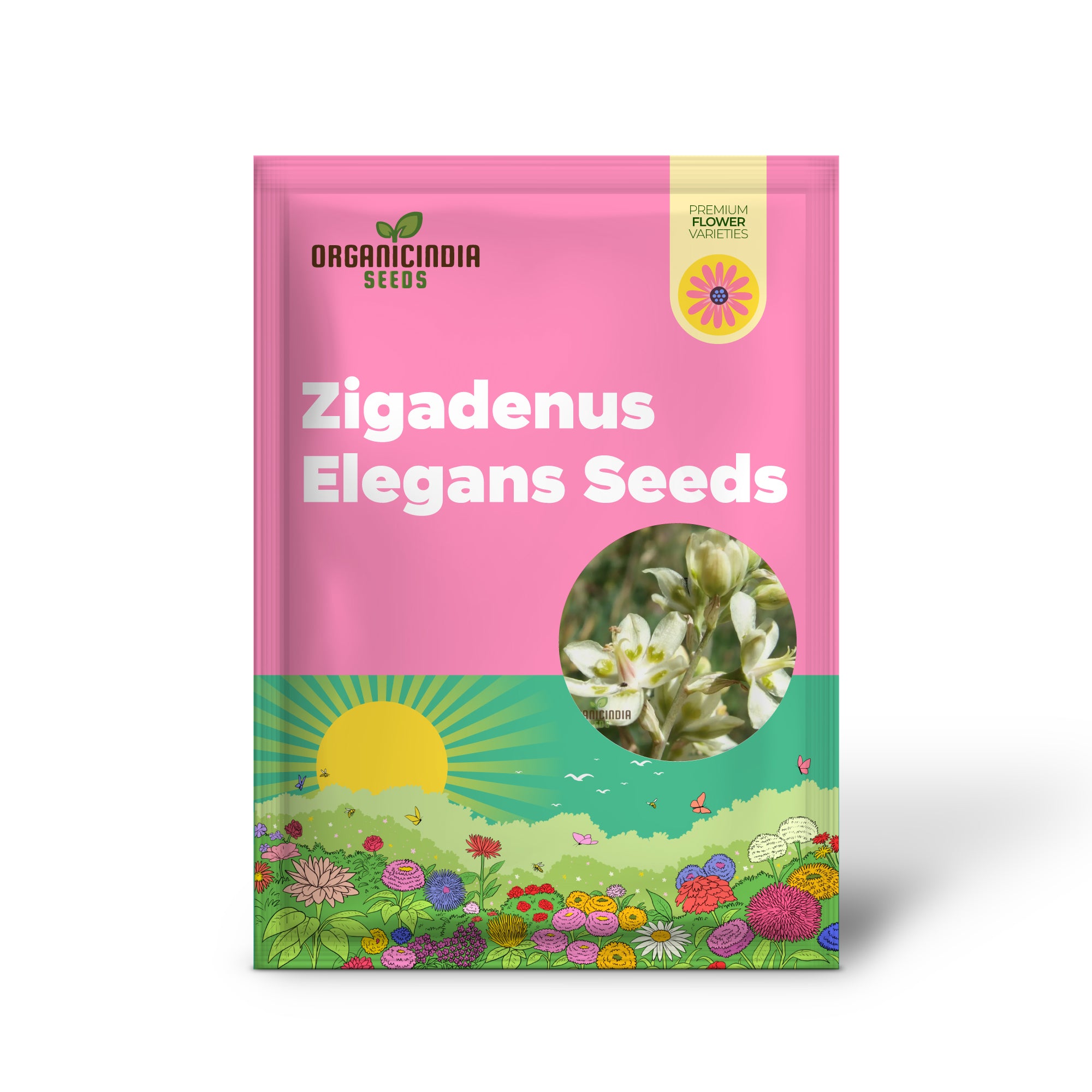 Graines de Zigadenus Elegans à planter - Qualité supérieure, faciles à cultiver et parfaites pour votre jardin