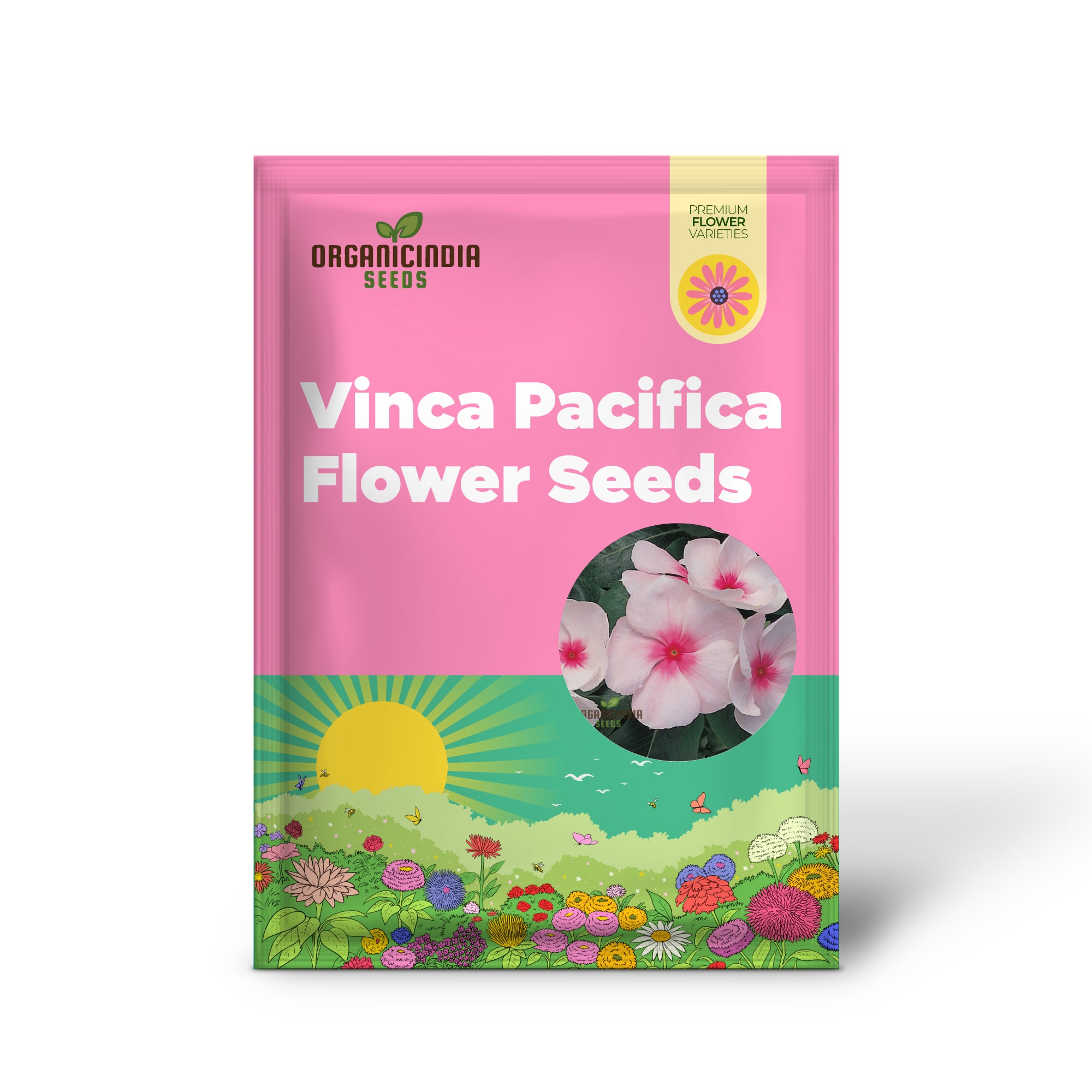 Vinca Pacifica XP Blush Flower Seeds, Premium Quality Hardy, Easy-to-Grow Annual Blooms for Stunning Garden