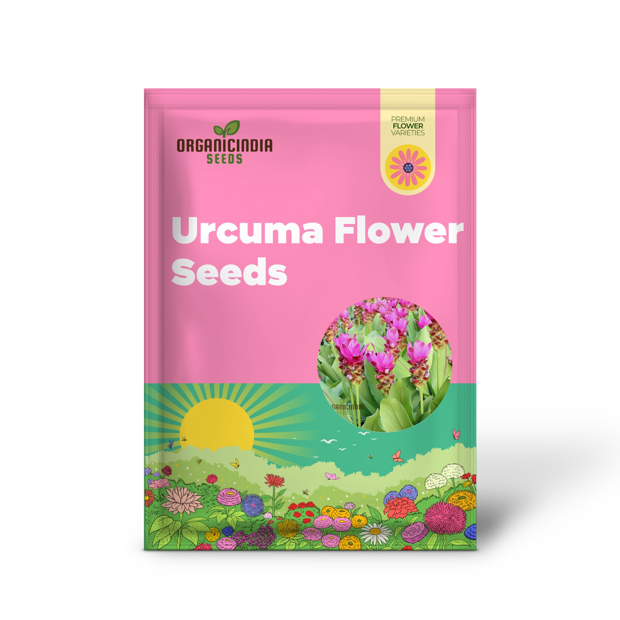 Urcuma Pink Color Flower Seeds for Planting, Hardy Perennial Flower Seeds for Gardens, Gorgeous Pink Curcuma Blossoms for Your Garden