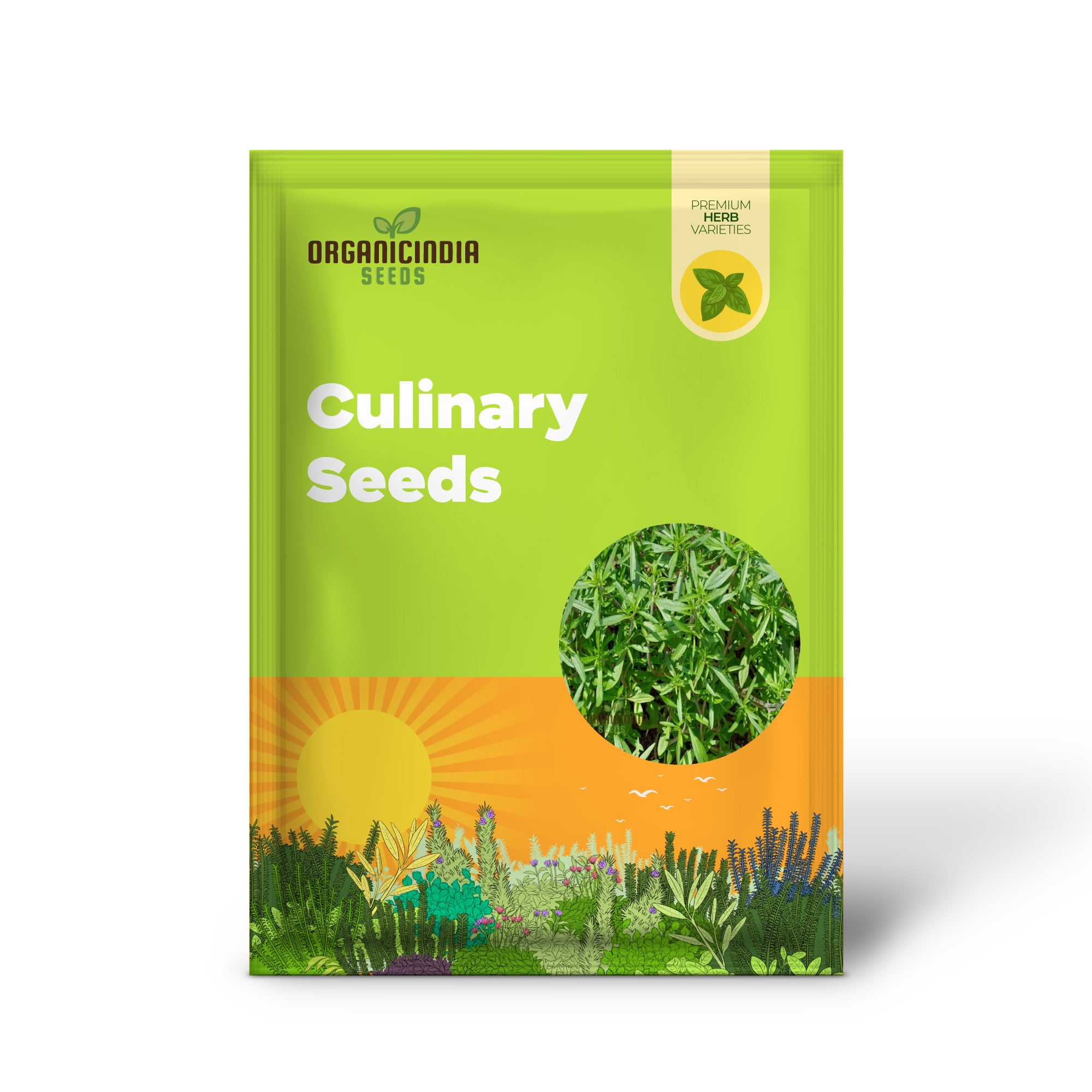 Savory Summer Seeds for Planting, Premium Culinary Seeds for a Flavorful Summer Garden, Easy-to-Grow Savory Summer Seeds