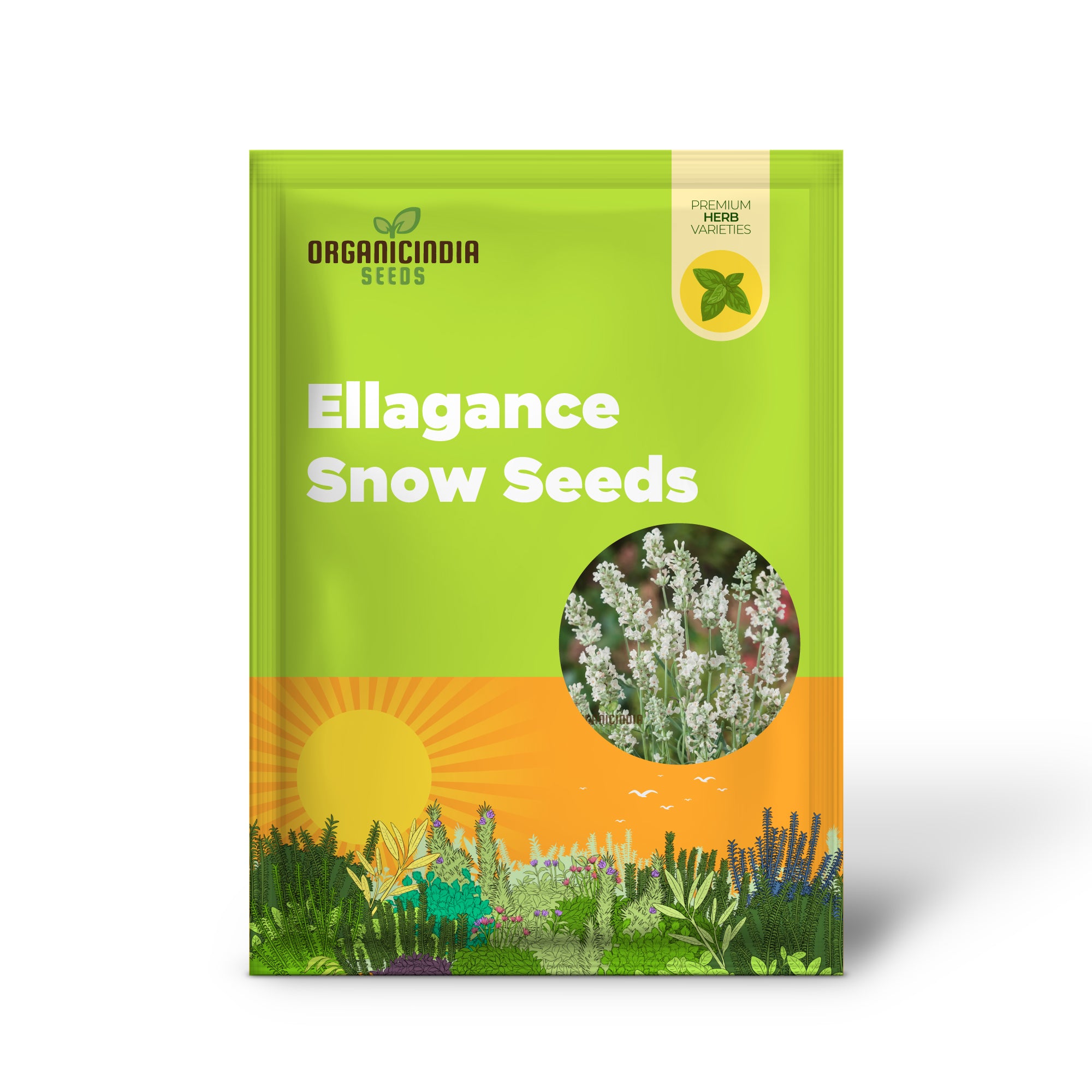 Lavender Ellagance Snow Seeds, Premium Gardening Seeds for Beautiful, Fragrant Gardens