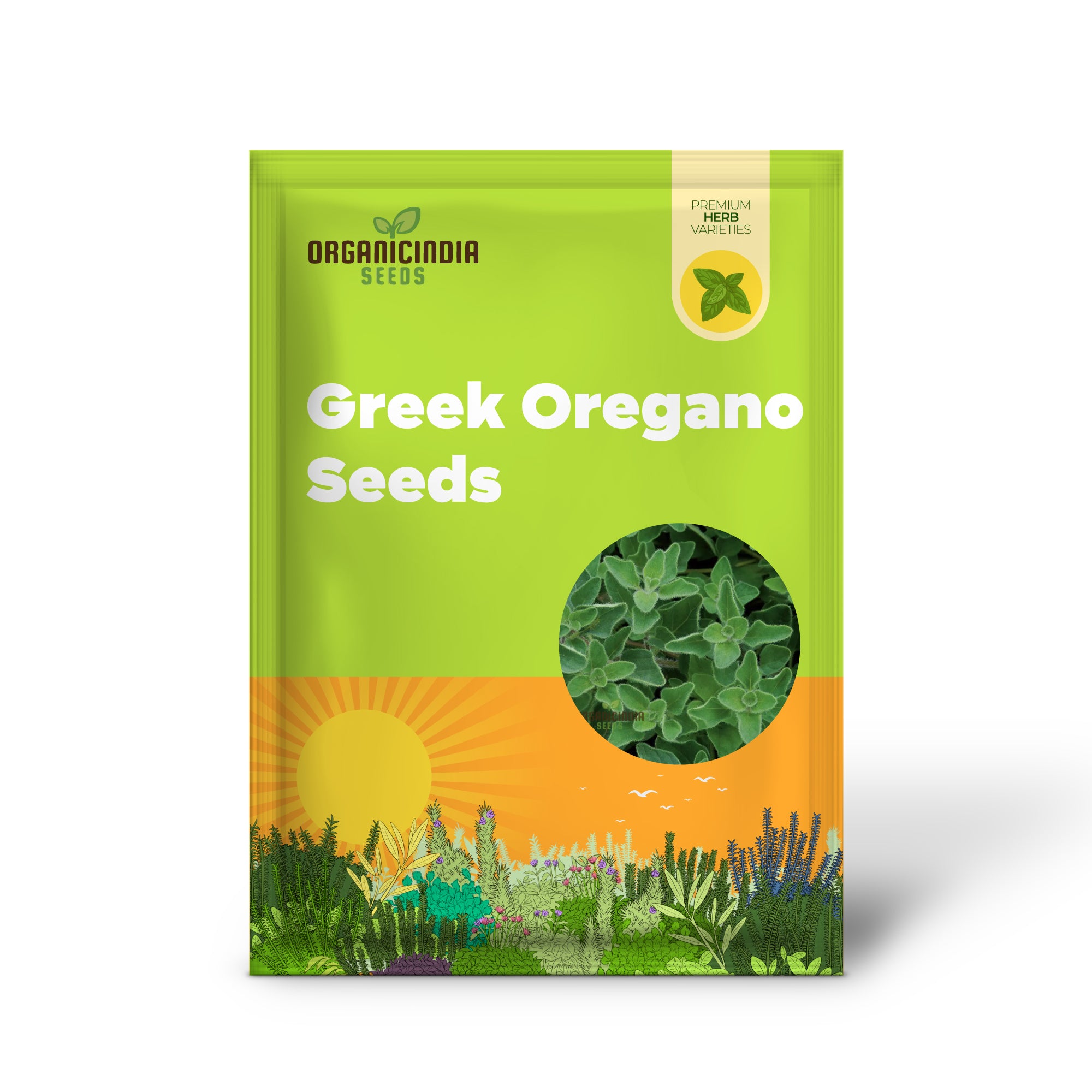 Greek Oregano Seeds for Planting, Premium Quality Seeds for a Flavorful Garden, High Germination Rate & Easy to Grow