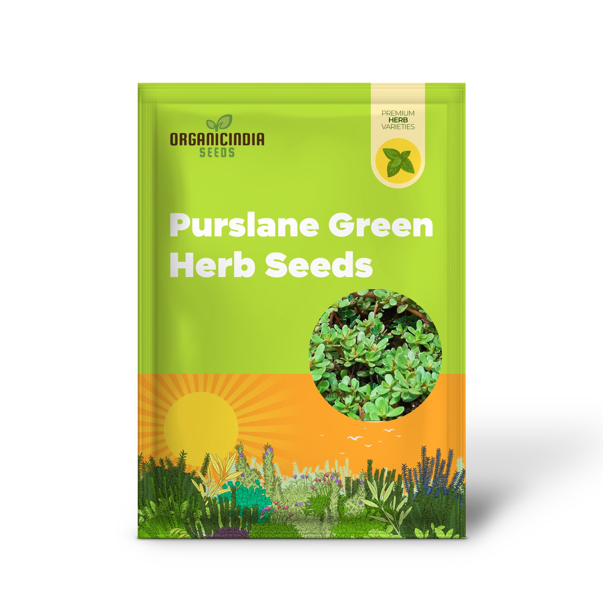 Purslane Green Herb Seeds for Gardening and Planting - 100 pcs