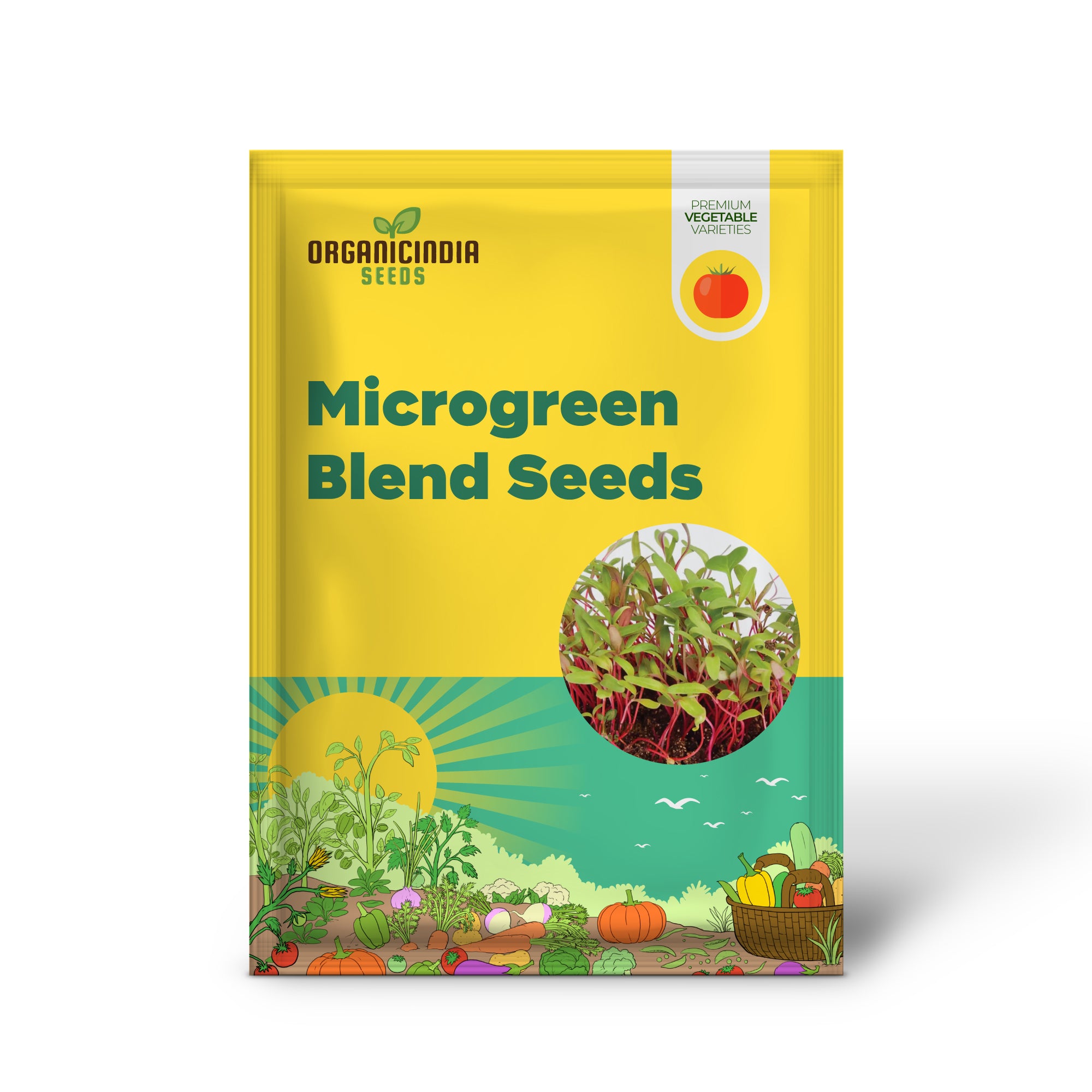 Microgreen Rainbow Blend Seeds - Planting Kit for Vibrant Home Gardening