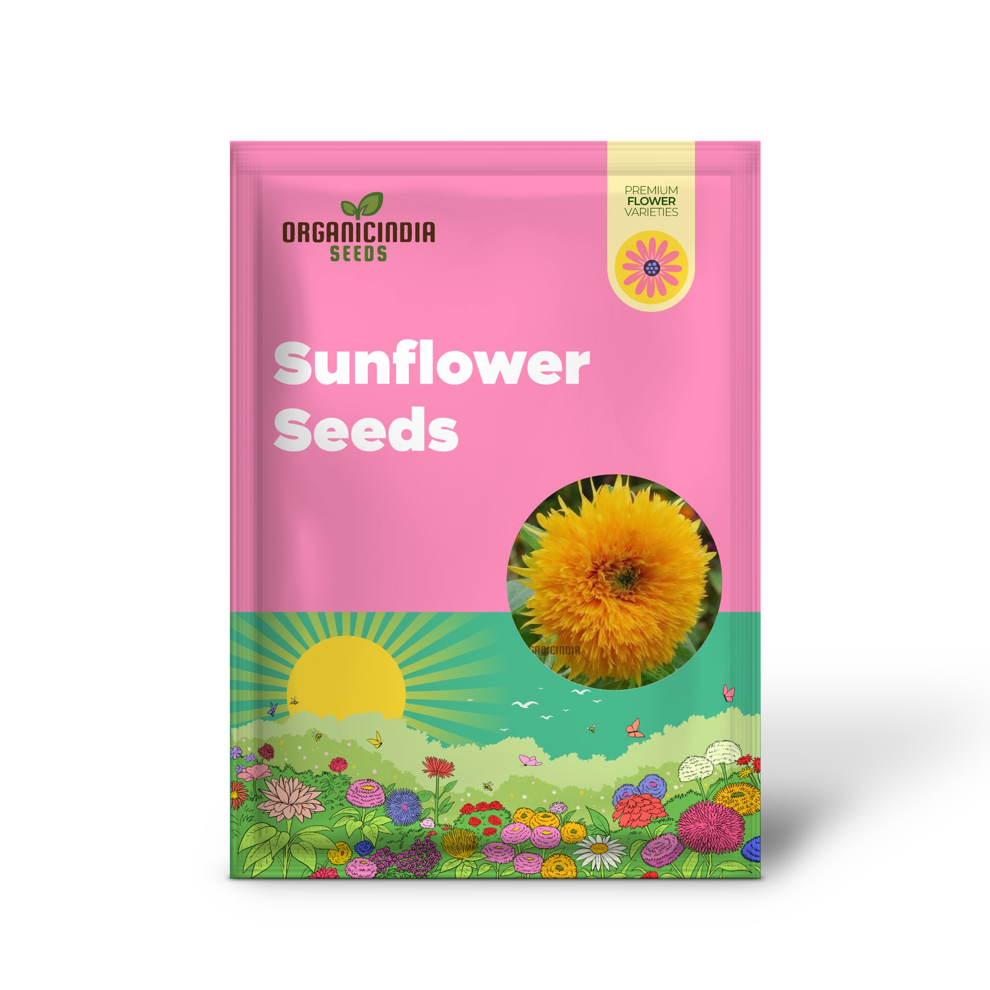 Sunflower Seeds - Orange Sun, Vibrant Orange Sunflowers for a Stunning Garden Display