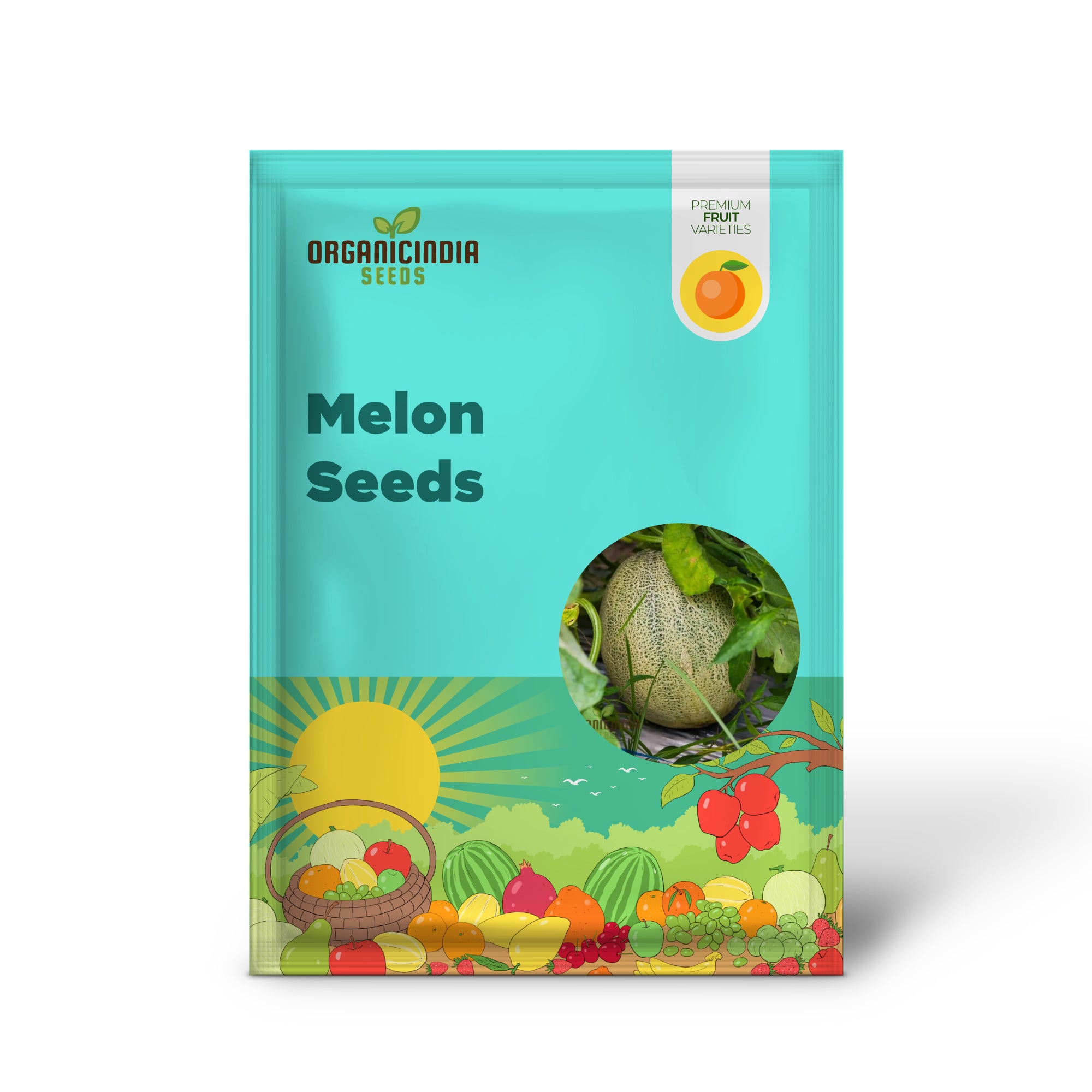 Organic Melon Seeds - Honey Rock, Premium Seeds for Planting