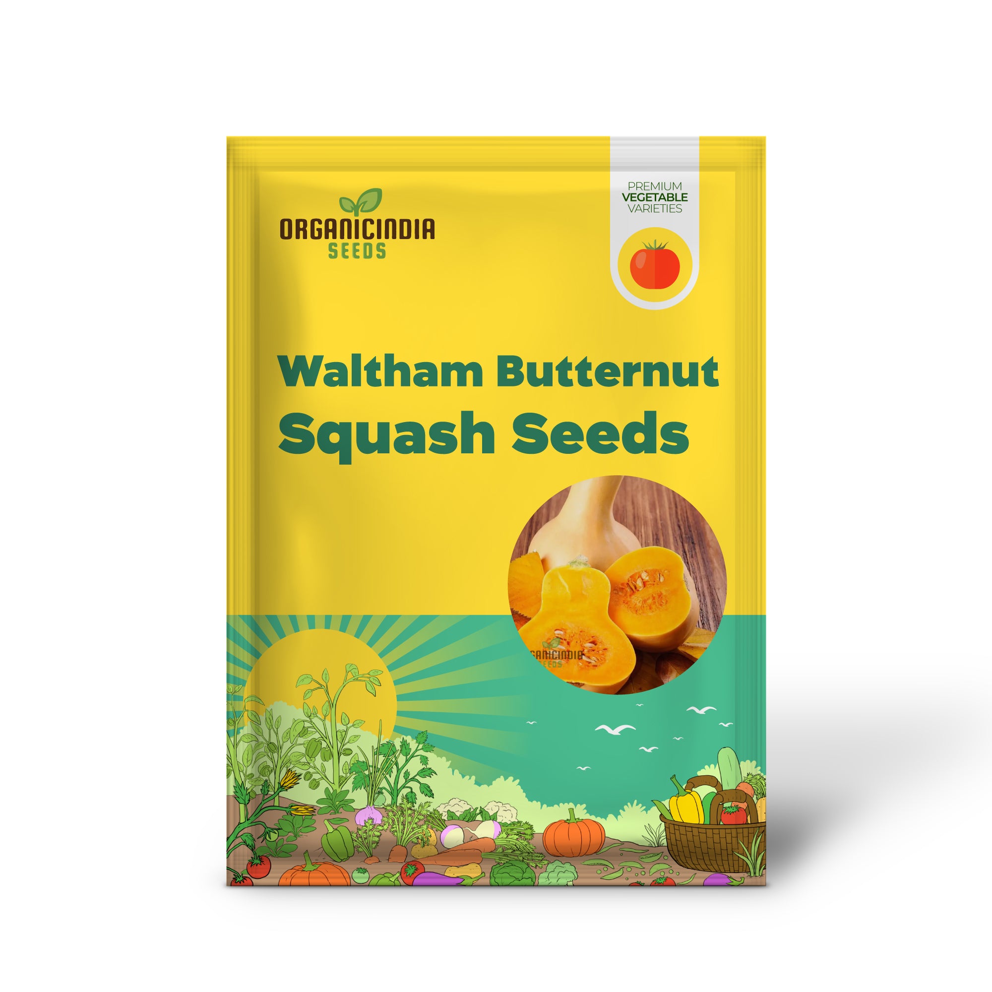 Waltham Butternut-Kürbissamen zum Anpflanzen, Gartensamen für Ihren Gemüsegarten