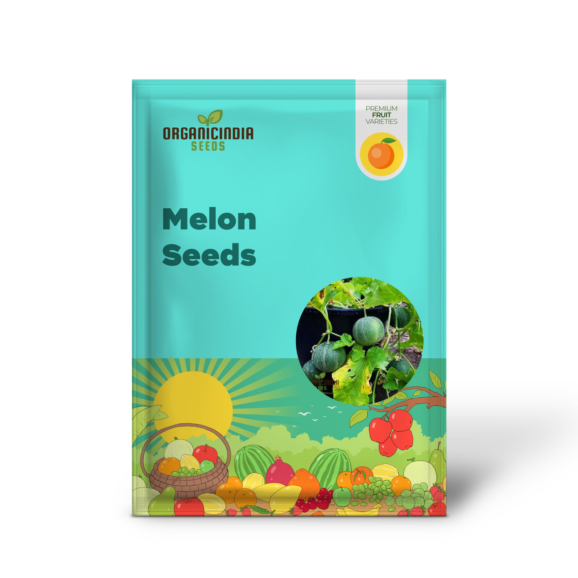 Melon Seeds - Minnesota Midget, Heirloom Garden Planting Seeds