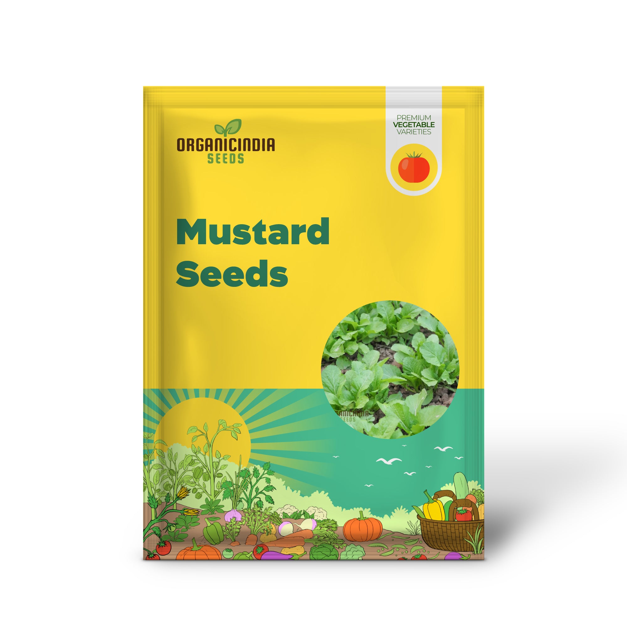 Indian Mustard 'Amsoi Green' Seeds for Exceptional Gardening  Ideal for Home Garden Enthusiasts and Organic Growers