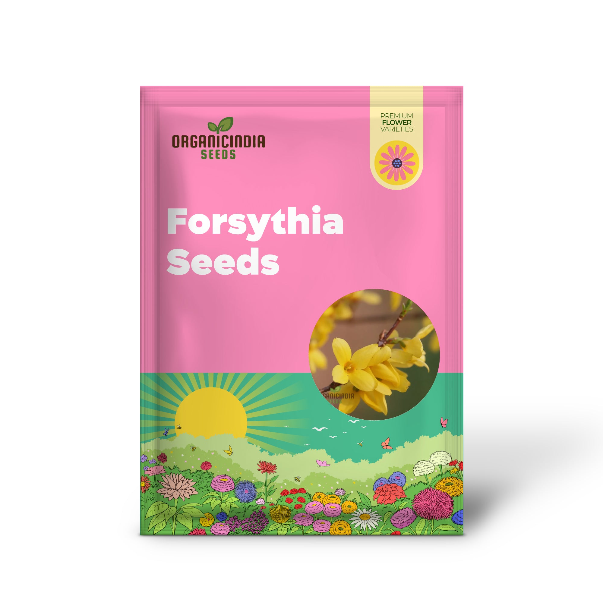 Weeping Forsythia Seeds - Forsythia Suspensa - Easy Planting and Maintenance for Stunning Landscapes