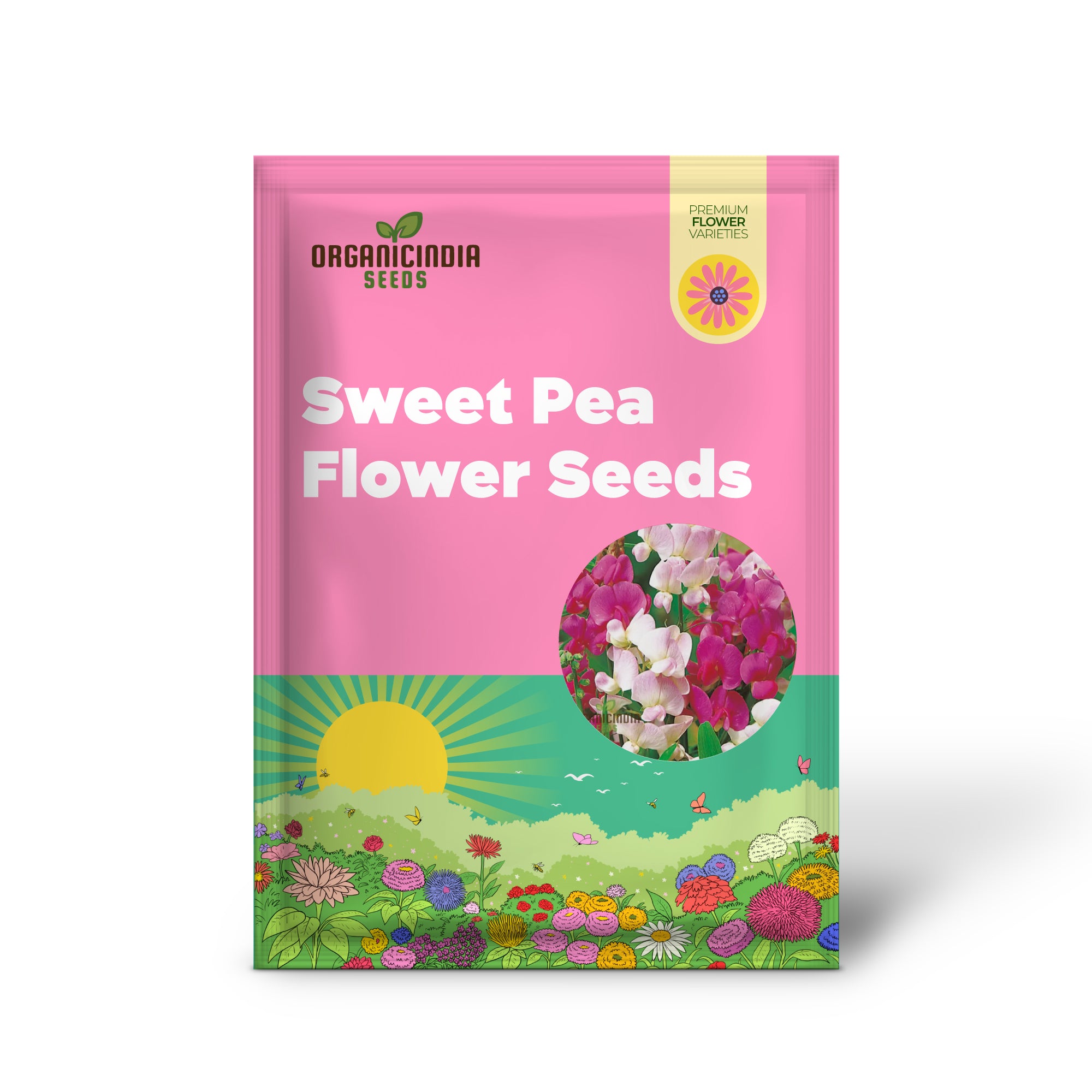 Sweet Pea (Perennial) Everlasting Mixture Flower Seeds For Planting, Long Lasting, Fragrant Blooms for a Perennial Garden