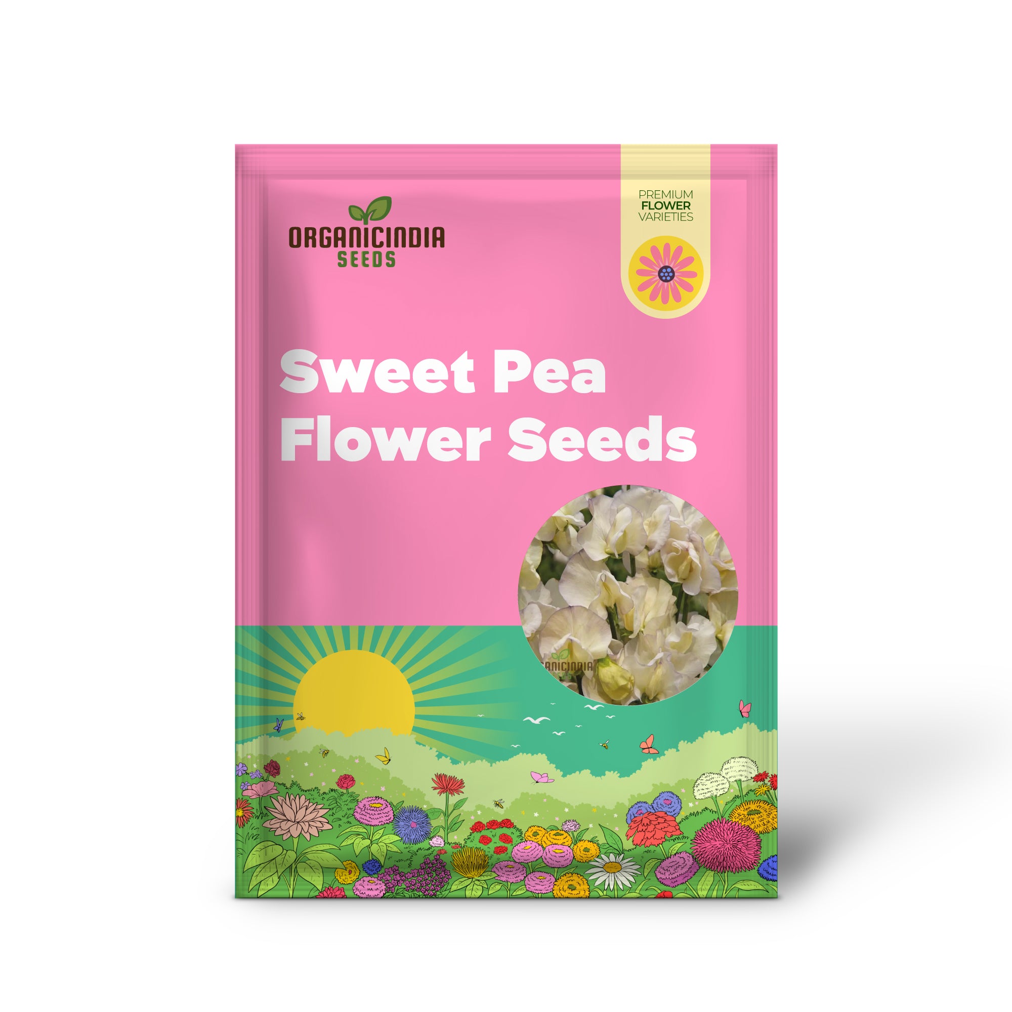 Sweet Pea (Tall) Old Times Flower Seeds For Planting, Classic, Fragrant Tall Sweet Peas for a Timeless Garden Display