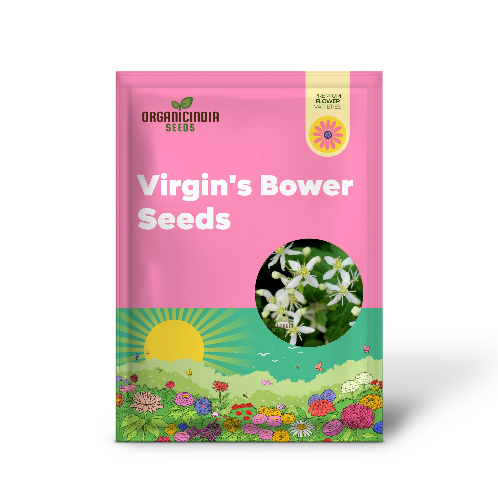 Virgin's Bower Seeds - Exquisite Clematis Planting Seeds for Your Garden