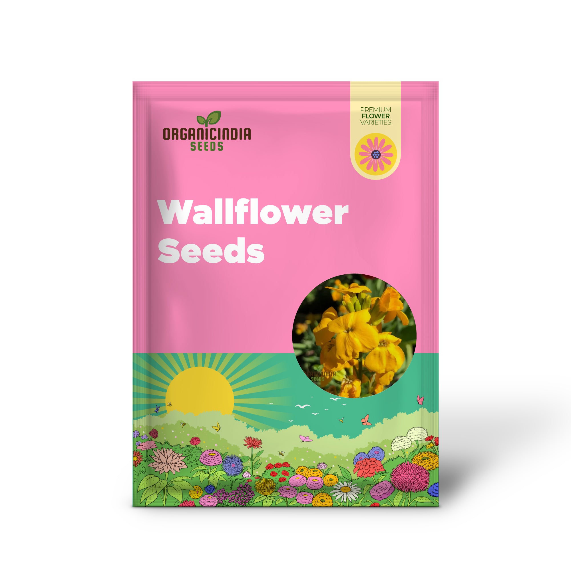 Wallflower Cloth of Gold Flower Seeds For Planting, Bright and Elegant Yellow Wallflowers for a Stunning Garden Display