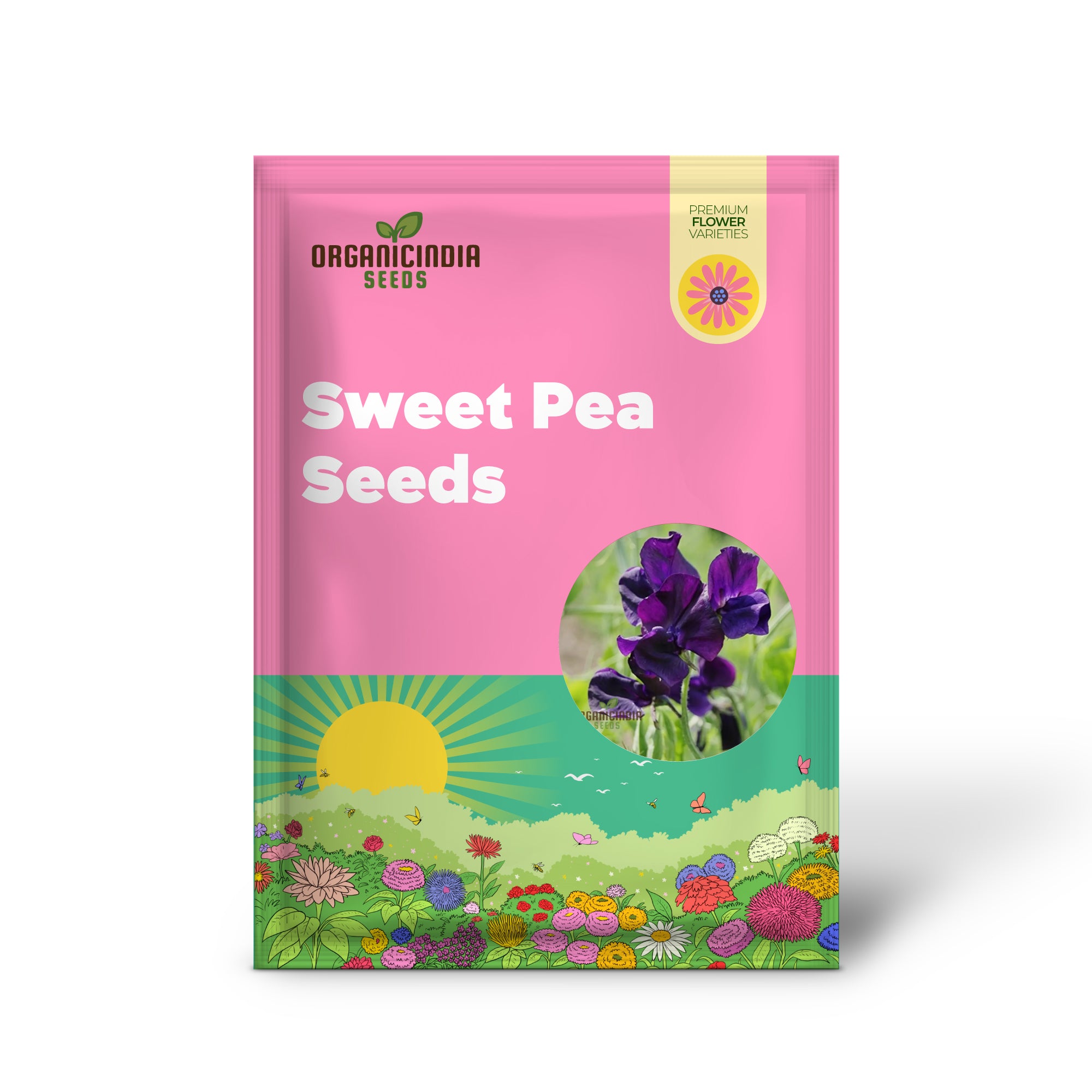 Sweet Pea Seeds - Royal Navy Blue Variety for Planting, Fragrant Flowers