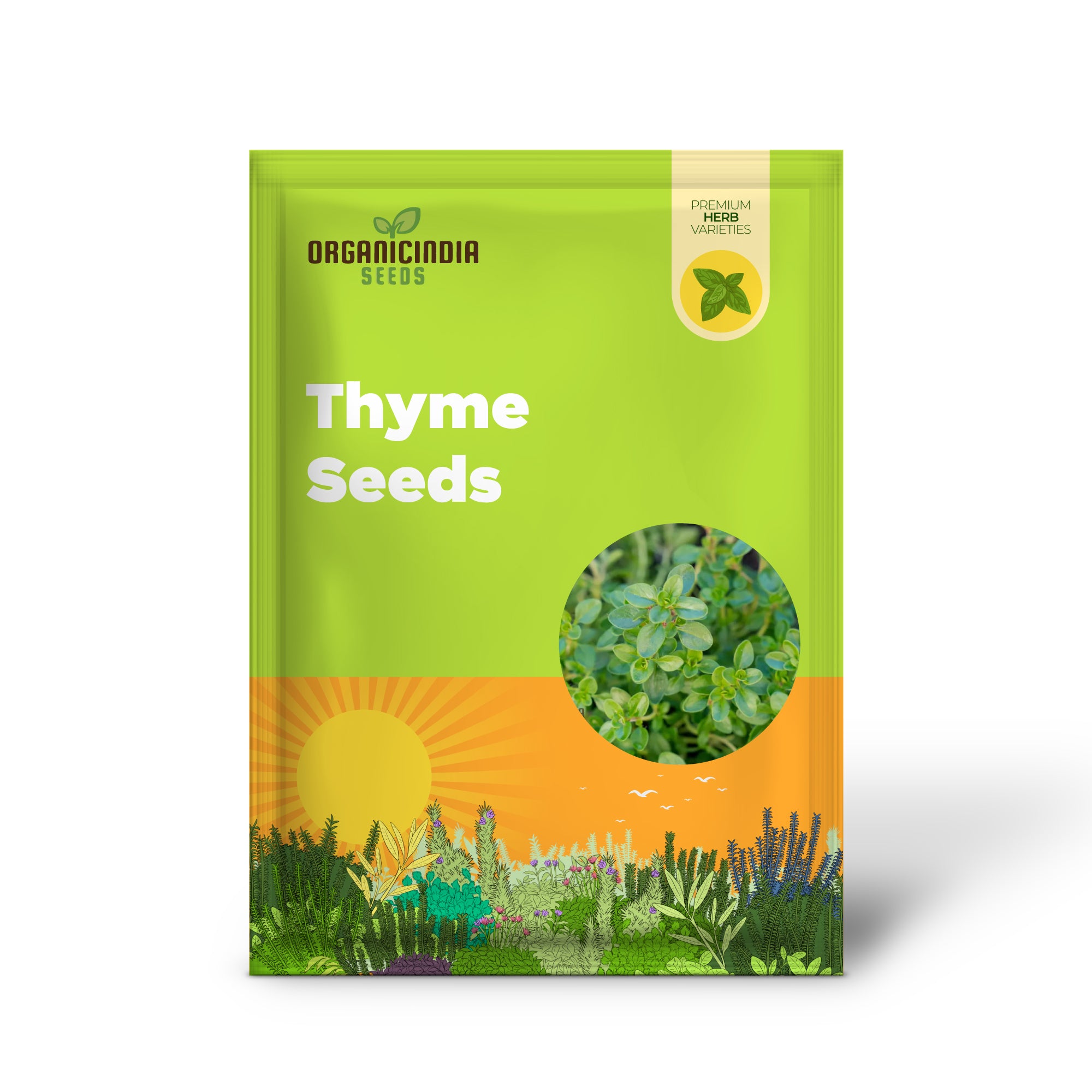 Thyme Seeds - Common Thyme for Planting in Your Garden