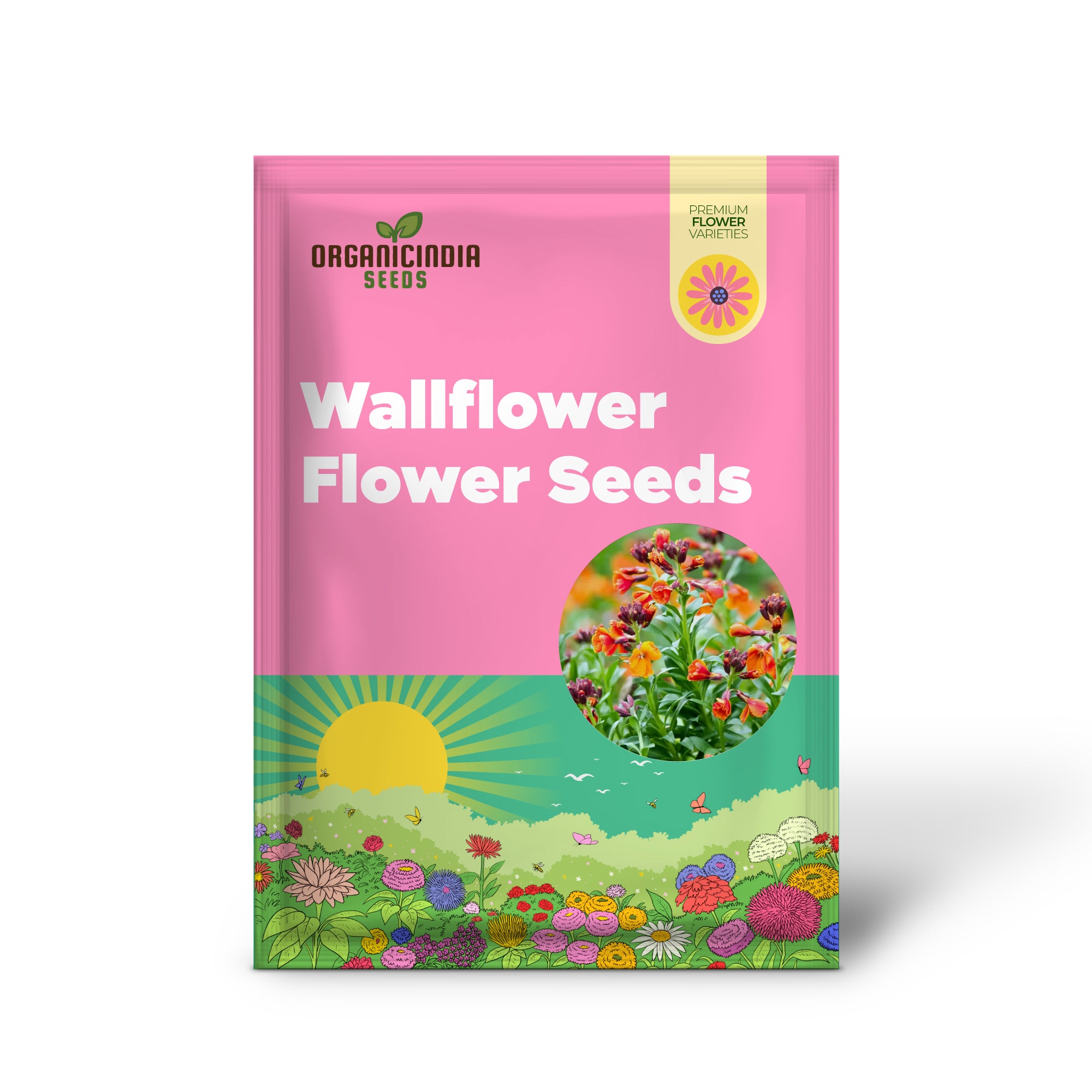 Wallflower Fire King Flower Seeds For Planting, Bold and Fiery Red Wallflowers for a Striking Garden Display