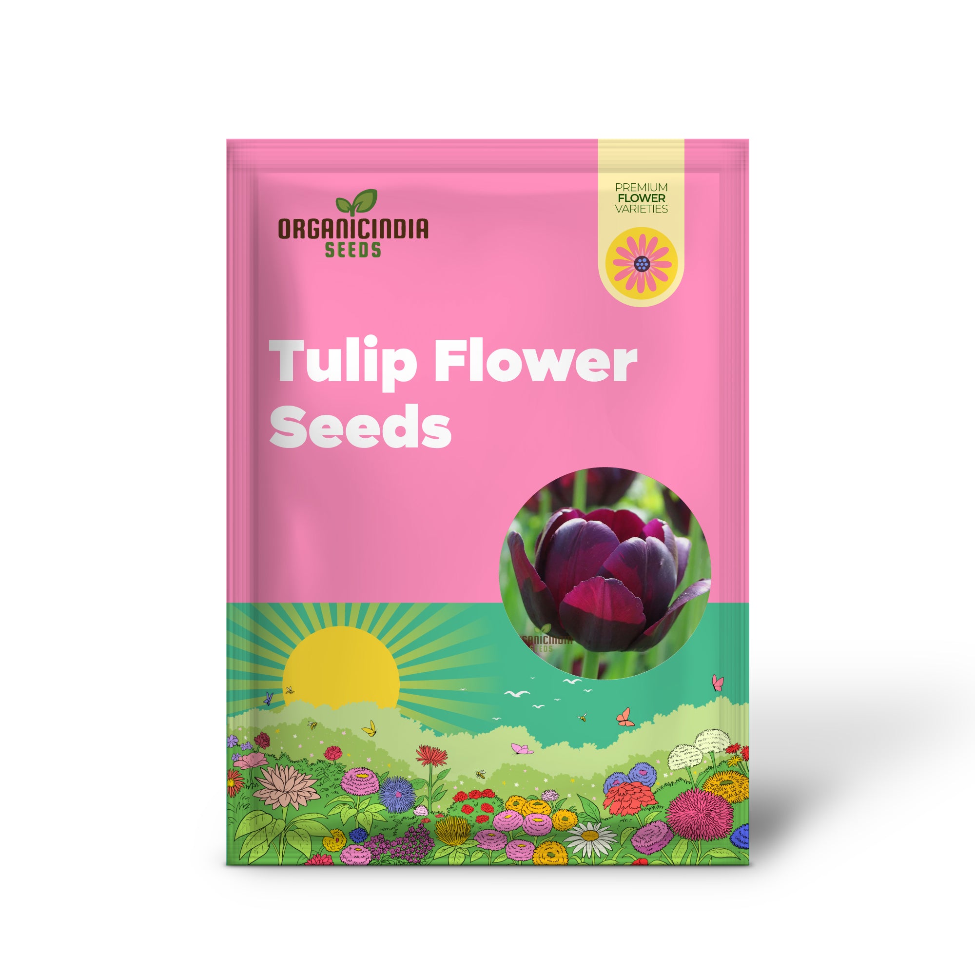 Tulip Queen of the Night Flower Seeds For Planting, Elegant and Dramatic Dark Tulips for a Sophisticated Garden Display