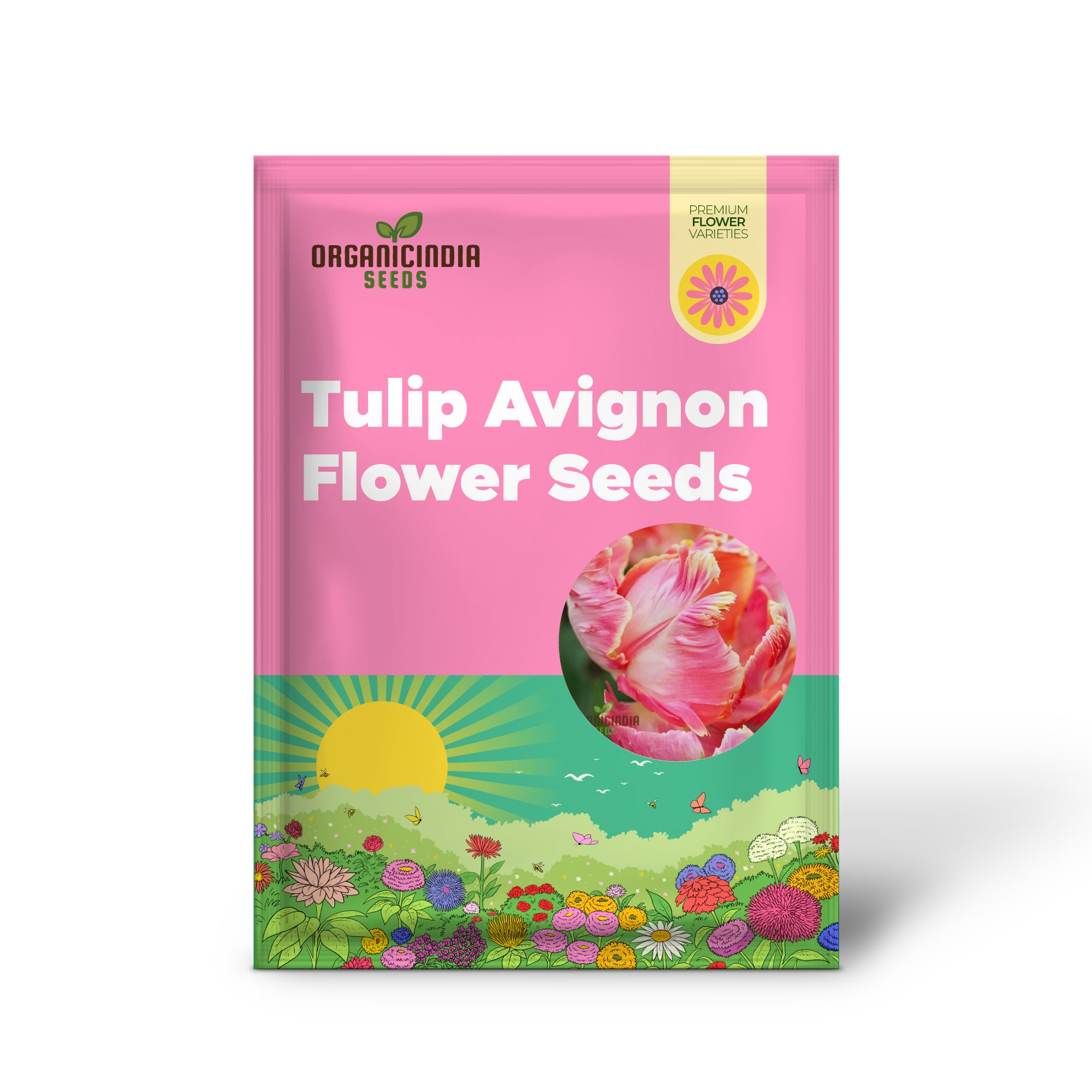 Graines de fleurs de perroquet Tulip Avignon à planter, tulipes perroquet vibrantes et exotiques pour un superbe jardin printanier