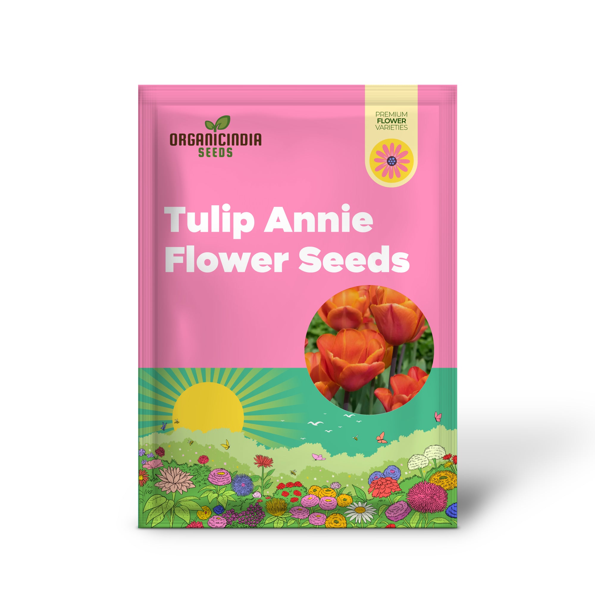 Tulip Annie Schilder Flower Seeds For Planting, Charming and Bright Tulips for a Stunning Spring Garden Display