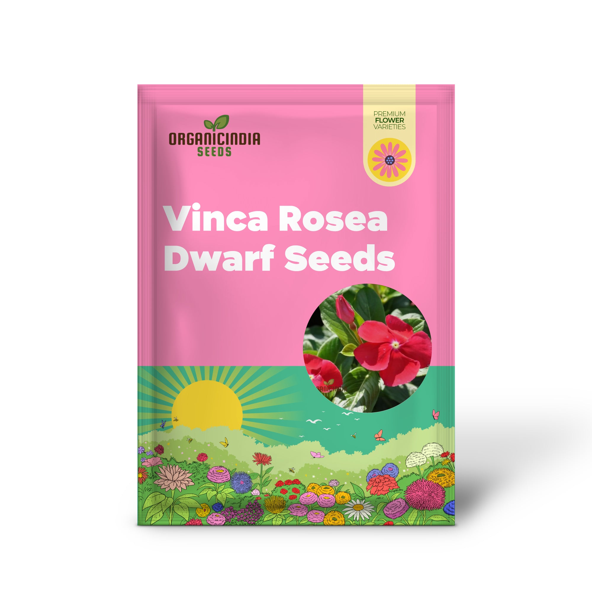 Vinca Rosea Red Cherry Dwarf Samen – einfach zu pflanzen, schöne rote Blumen für Ihren Garten