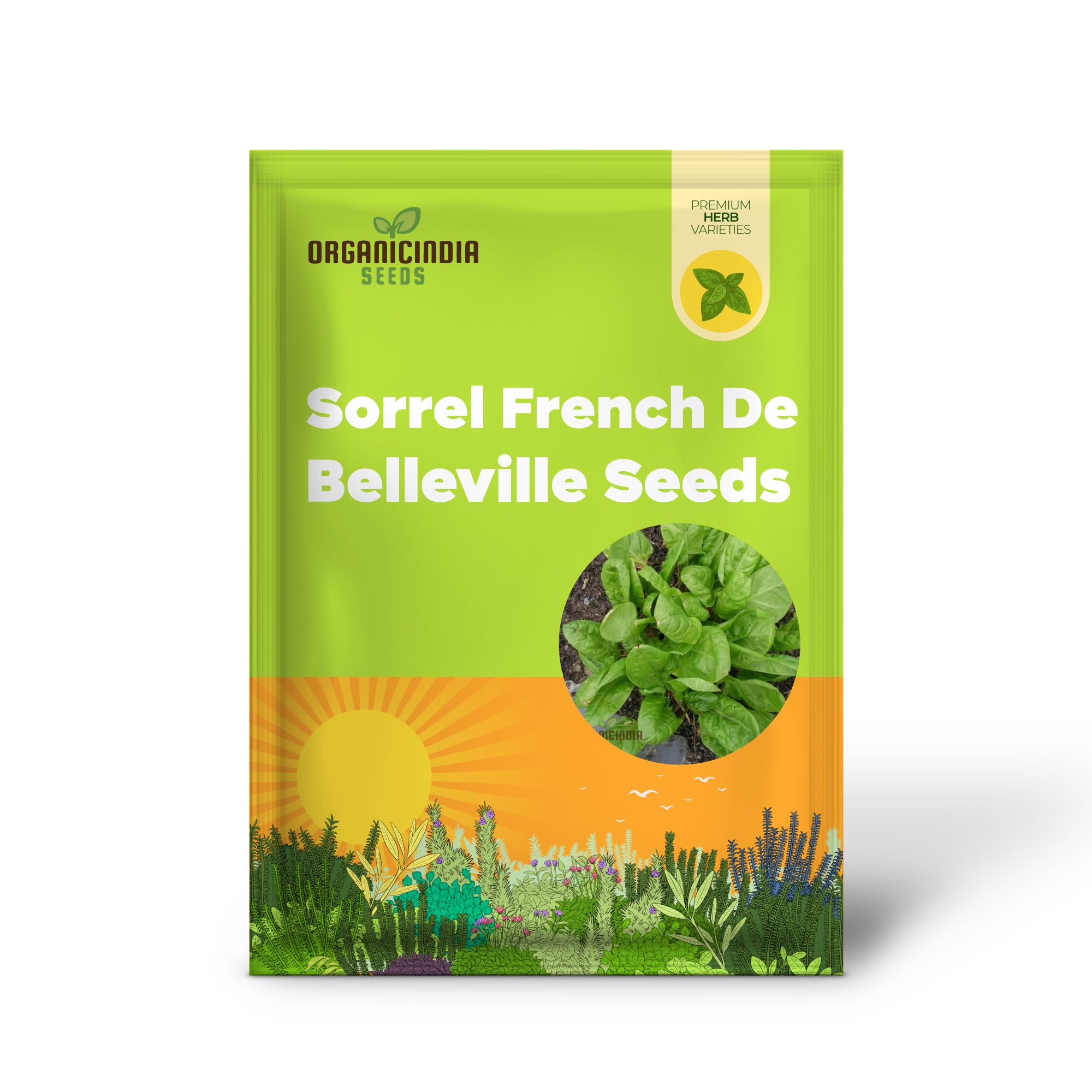 Sorrel French Green De Belleville Seeds for Planting, High-Quality Grow Delicious, Nutritious Sorrel in Your Garden