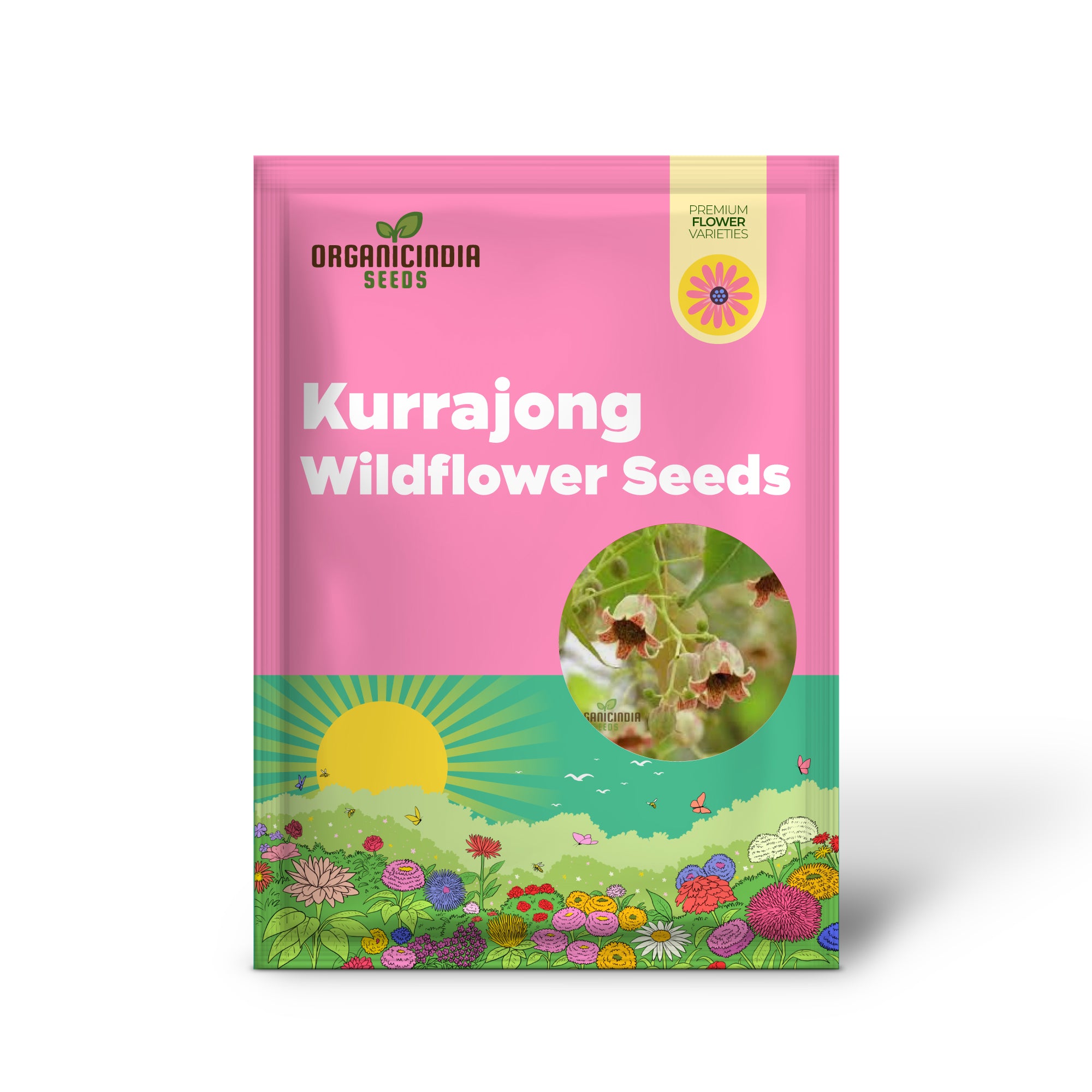 White Kurrajong WILDFLOWER  Seeds for Planting - Gardening and Planting in Your Garden