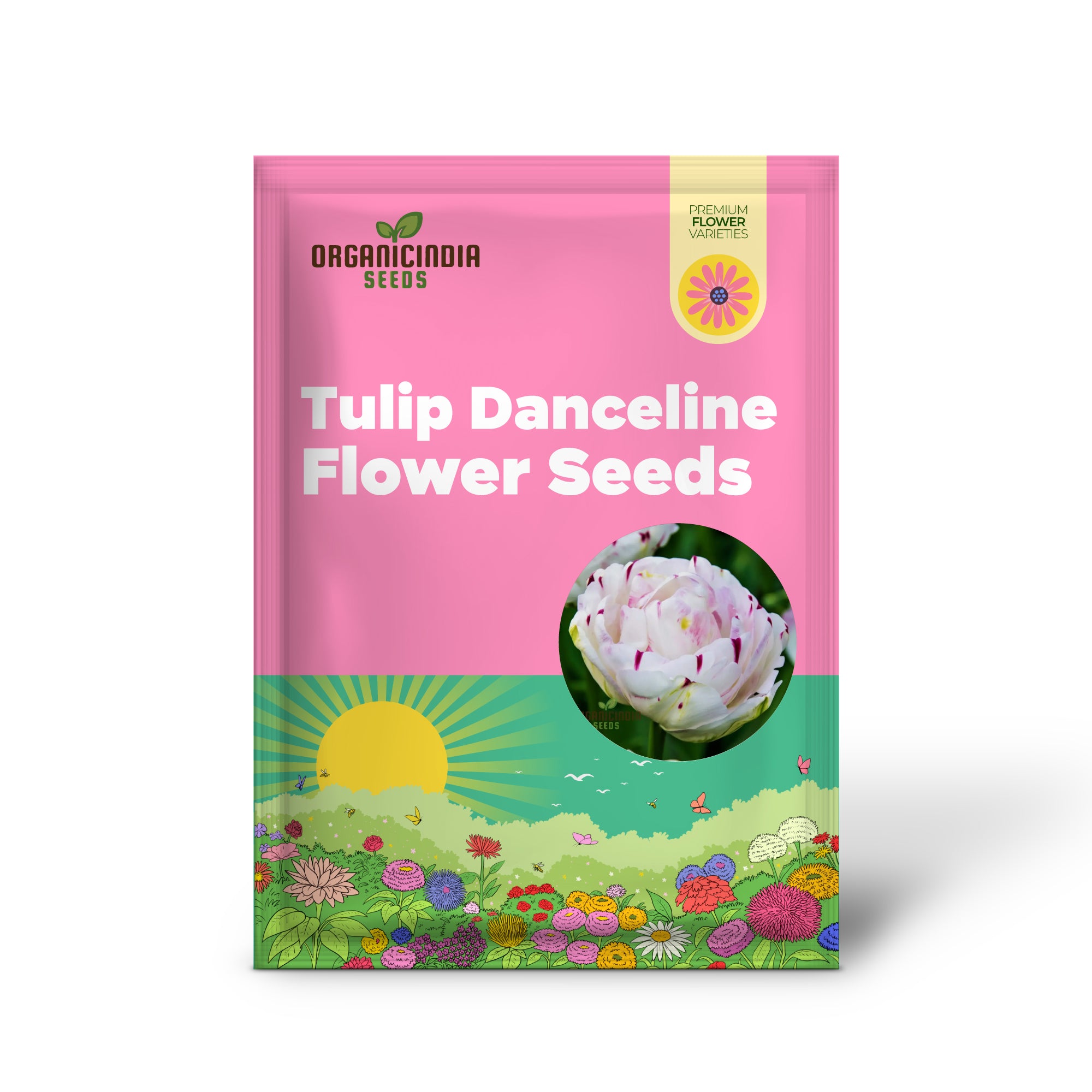 Tulip Danceline Flower Seeds For Planting, Vibrant and Elegant Tulips for a Stunning Spring Garden Display