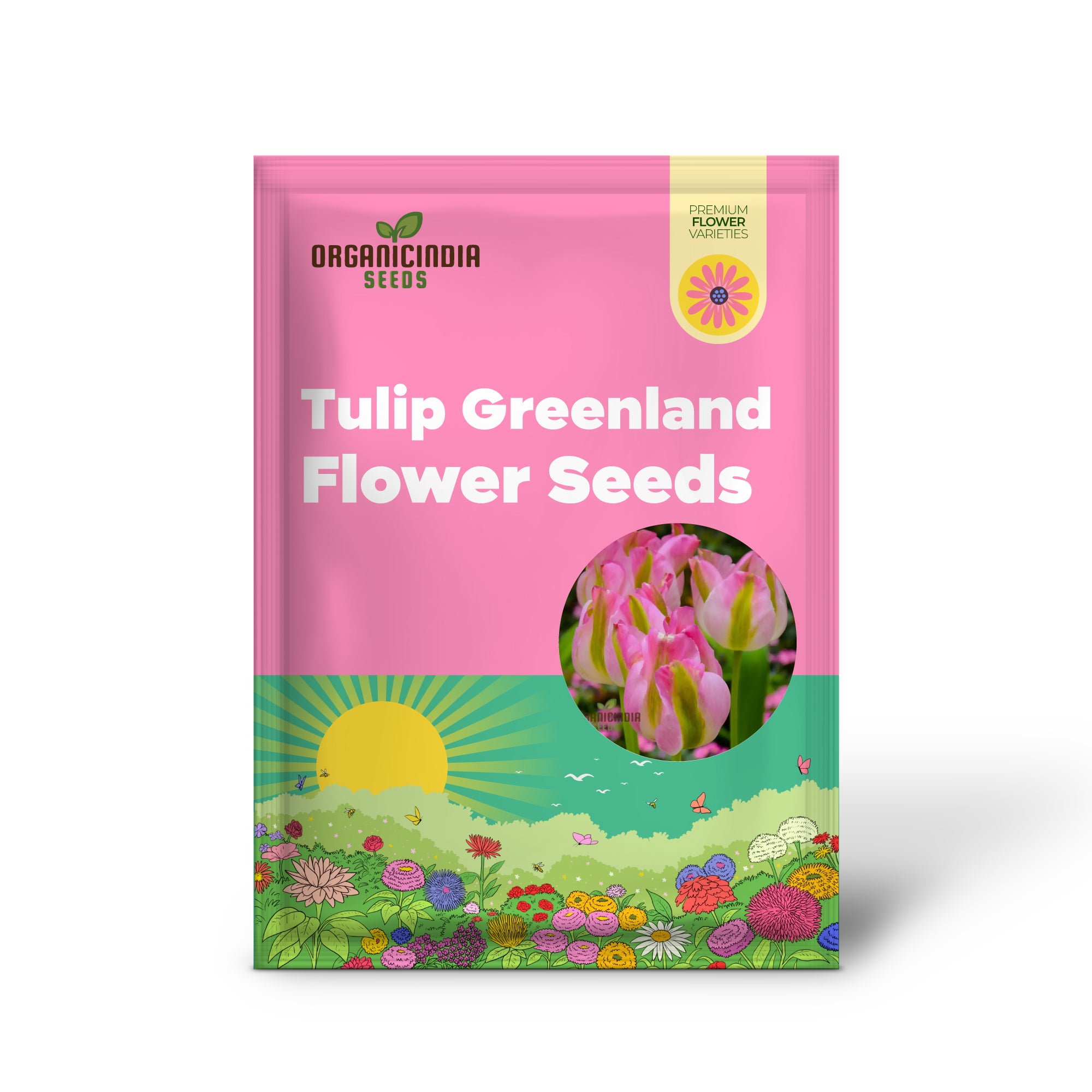 Tulip Greenland Flower Seeds For Planting, Beautiful and Bold Tulips for a Striking Spring Garden Display