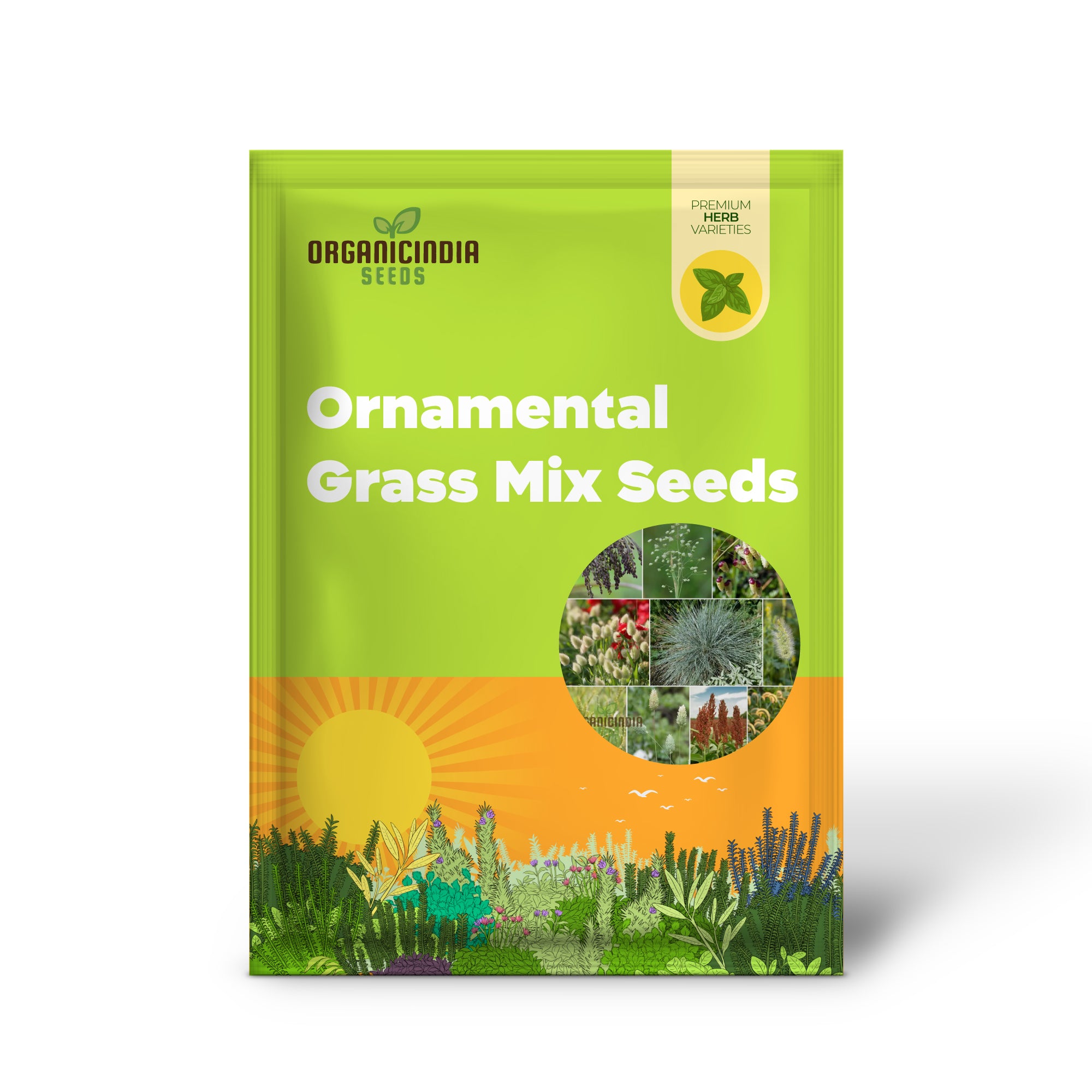 Annual Ornamental Grass Mix Seeds for Planting, Enthusiasts, Create Stunning, Textured Garden Landscapes with Easy-to-Grow Vibrant Grasses