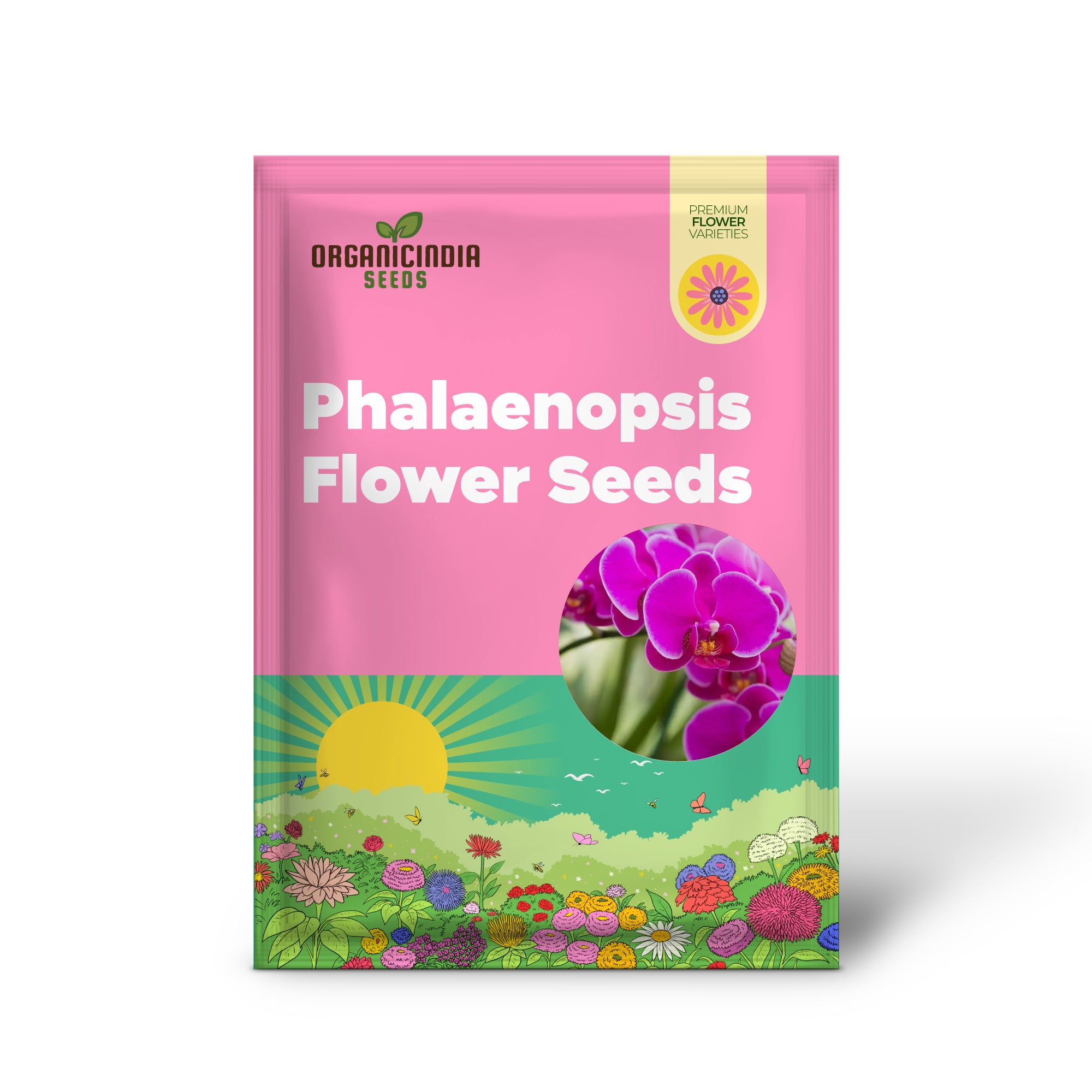 Phalaenopsis Orchid Flower Seeds for Planting, Premium Orchid Seeds for Beautiful Indoor and Outdoor Blooms, Easy to Grow Orchid Seeds