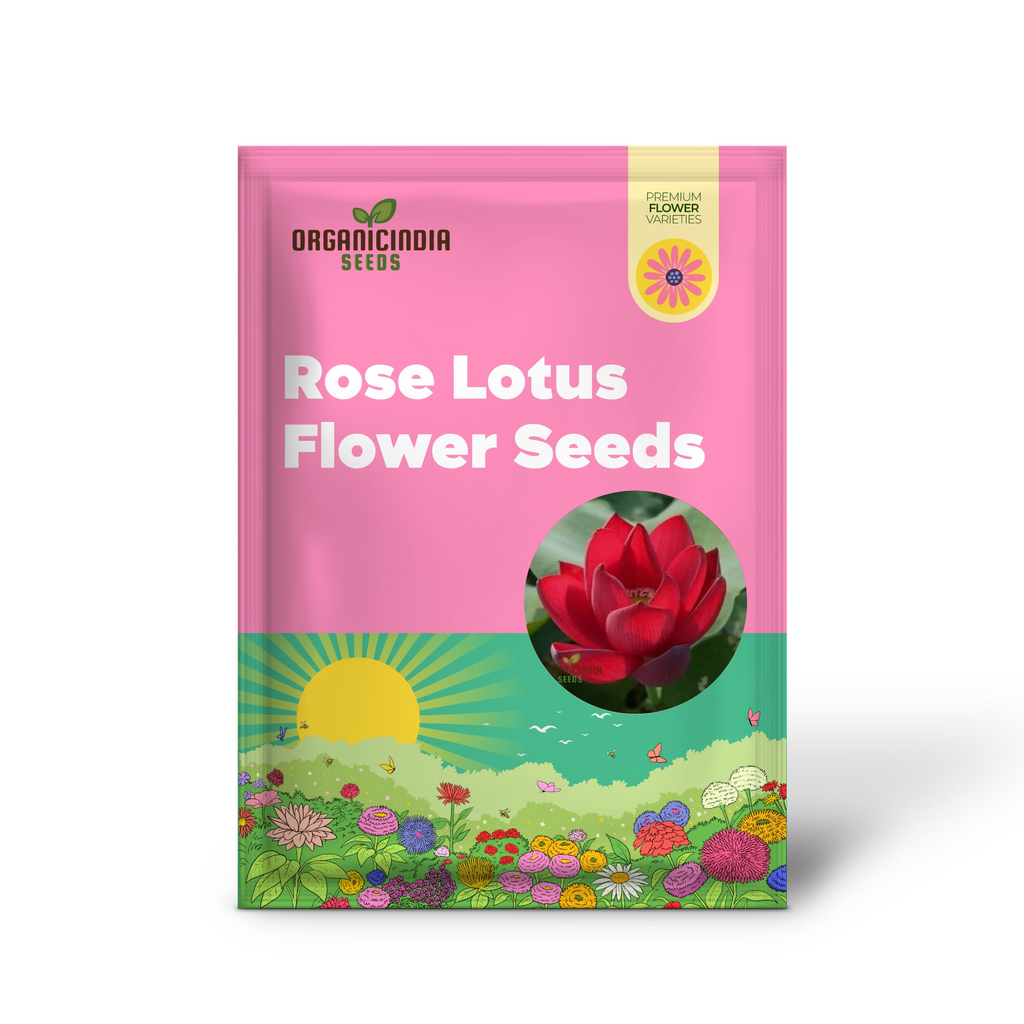 Red Rose Lotus Flower Seeds for planting–Stunning Garden Blooms