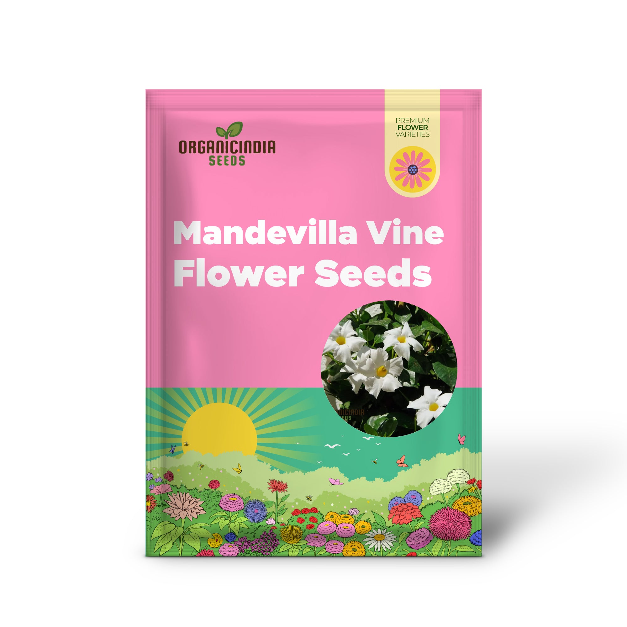 White Mandevilla Vine Flower Seeds for Planting, Expert Gardening and Cultivation Guide